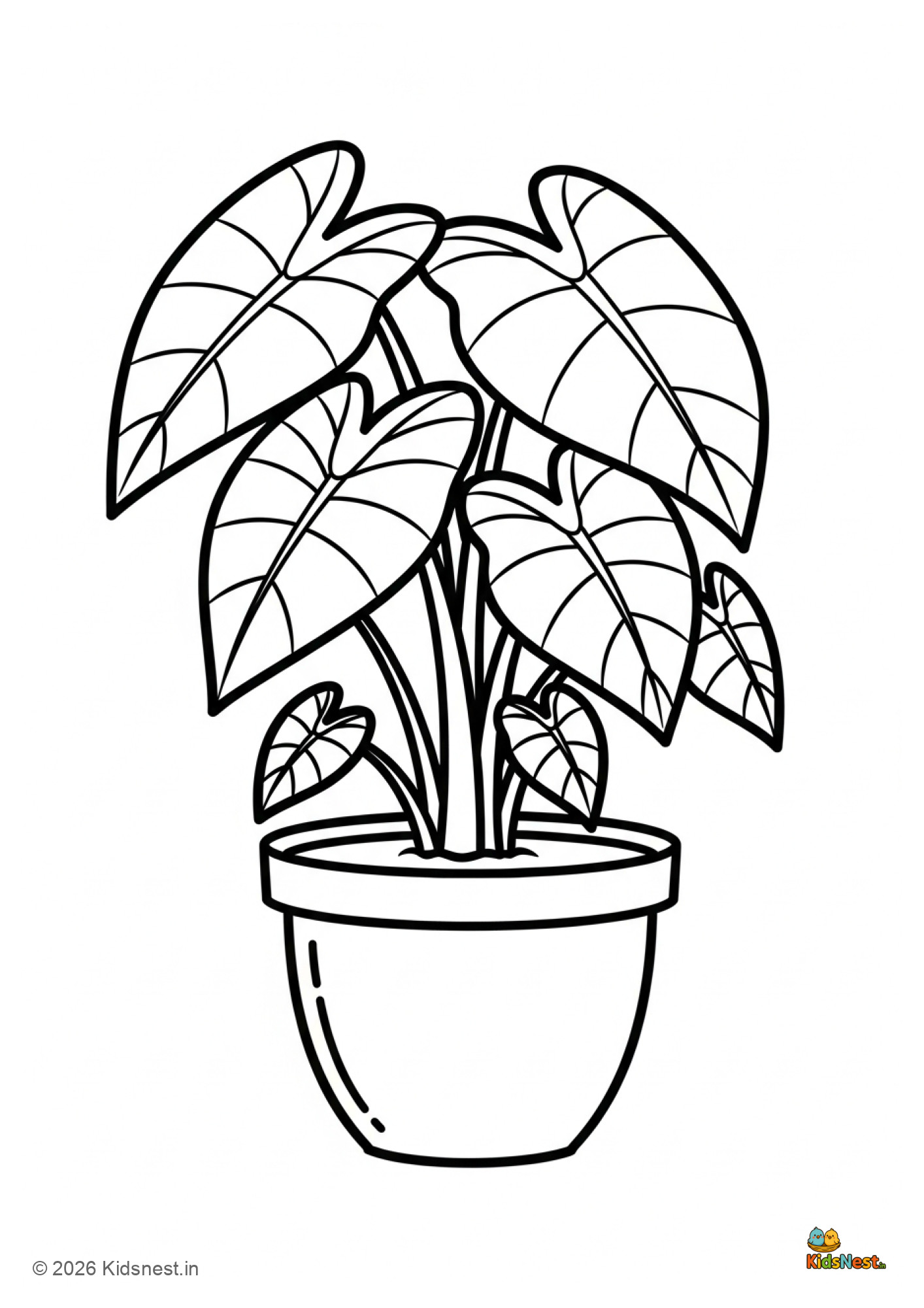 Elephant Ear Plant Coloring Page | Printable for Kids
