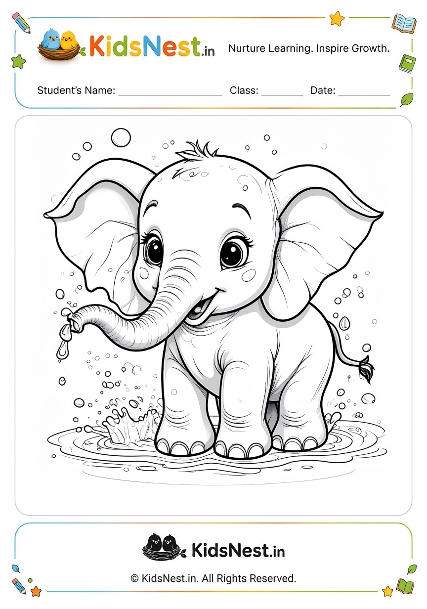 Elephant Splash Coloring Worksheet for Kids | Free Printable