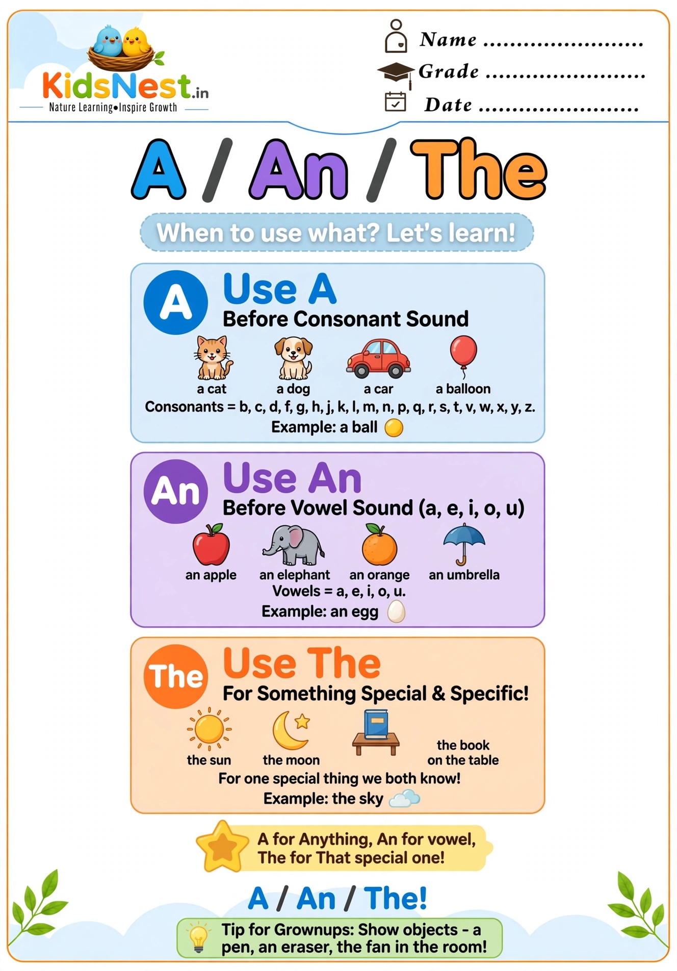 Learn Articles A, An, The: Easy Grammar Guide for Kids
