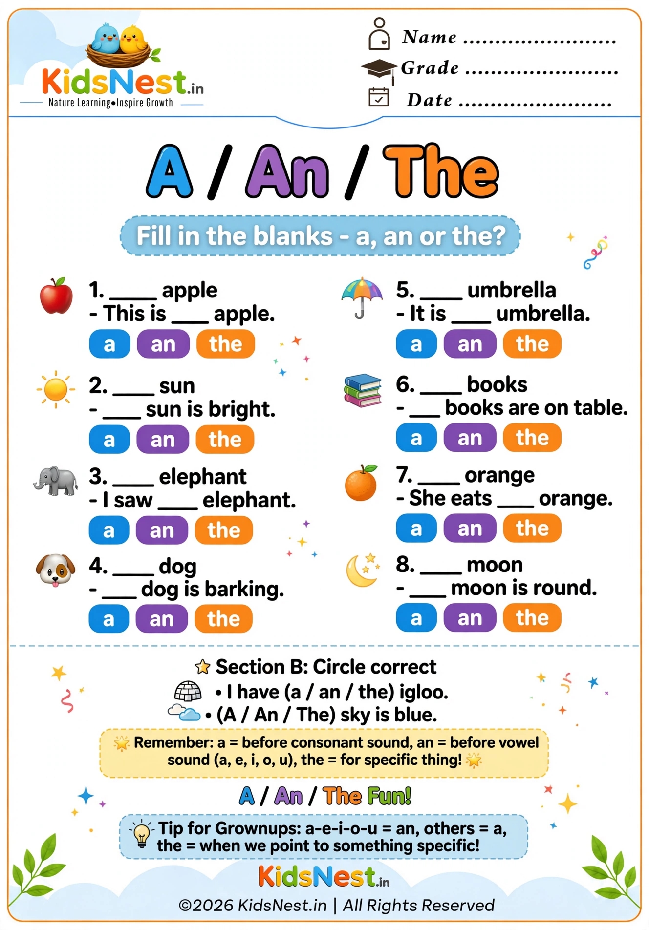 A, An, or The: Printable Articles Grammar Worksheet for Kids