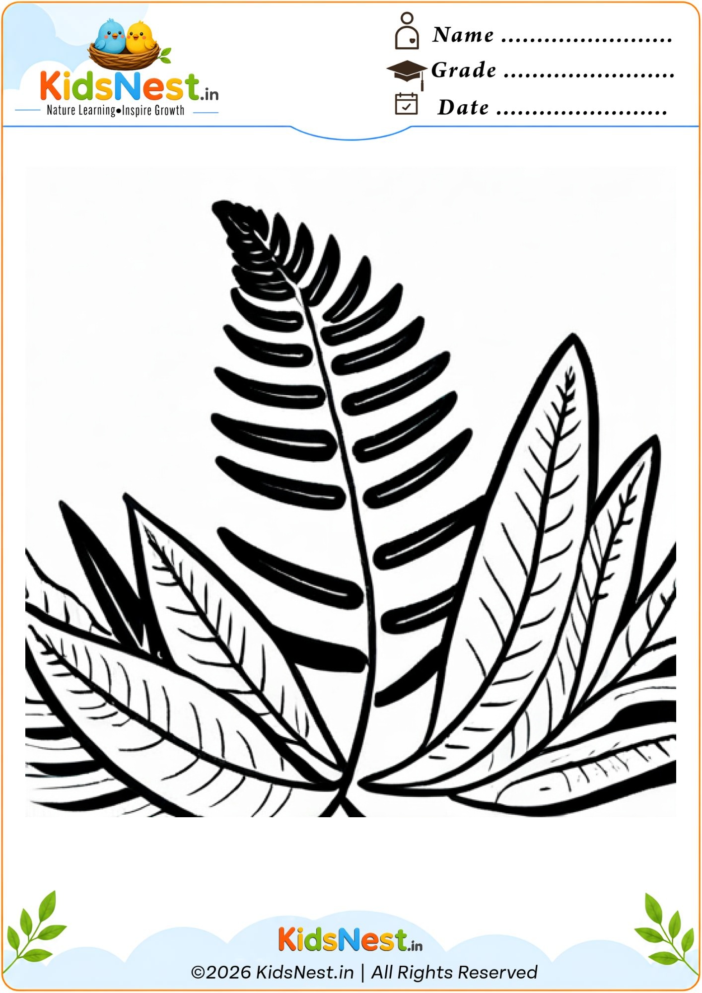 Fern Leaves Coloring Worksheet | Free Printable for Kids