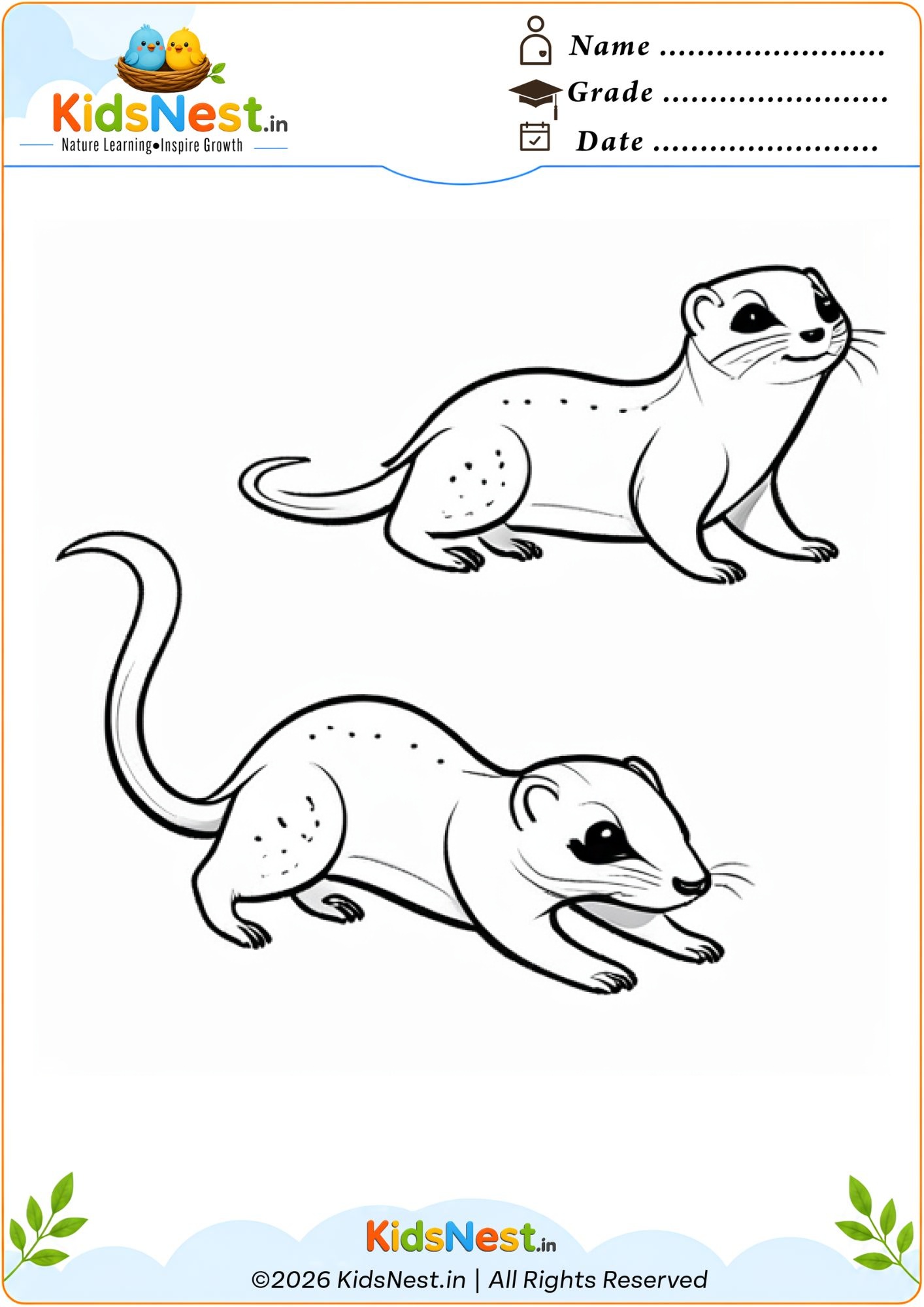Free Ferret Coloring Worksheet for Kids | Printable PDF