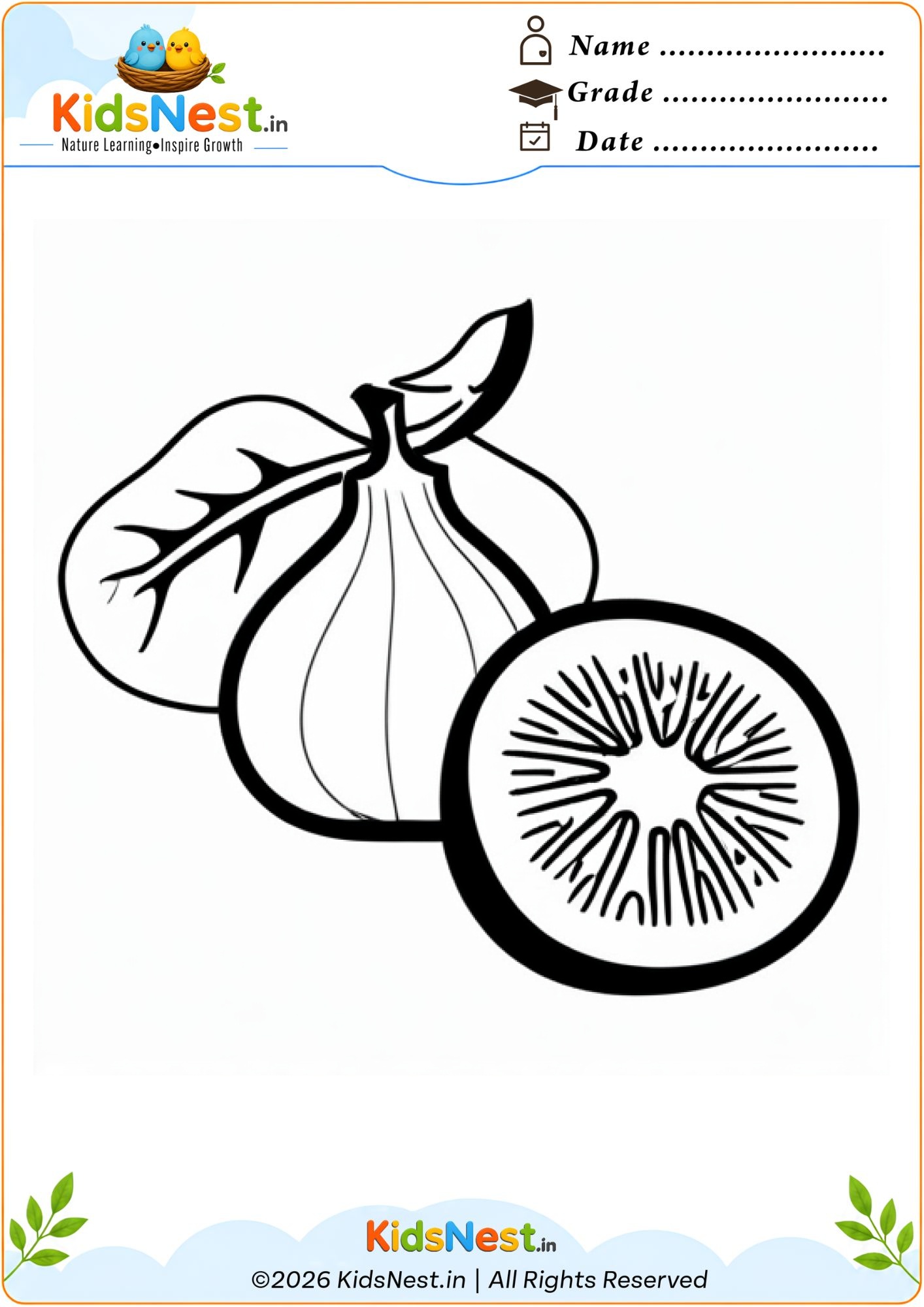 Free Fig Fruit Coloring Worksheet for Kids | Printable PDF