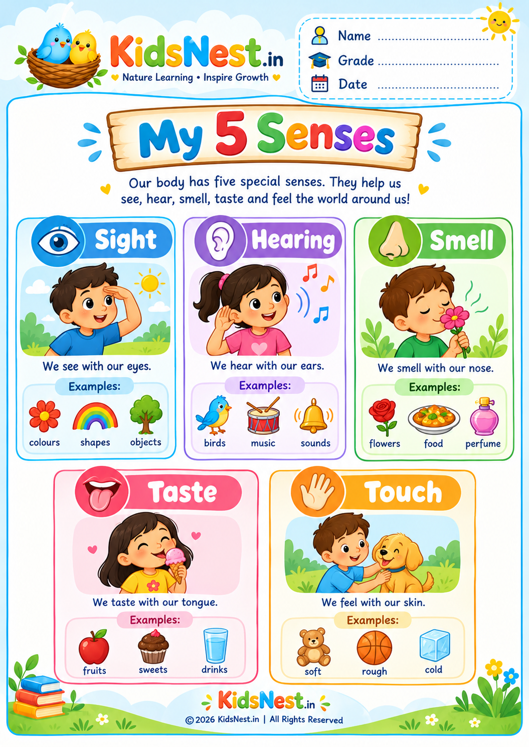 Five Senses Chart for Kids | Printable Science Worksheet