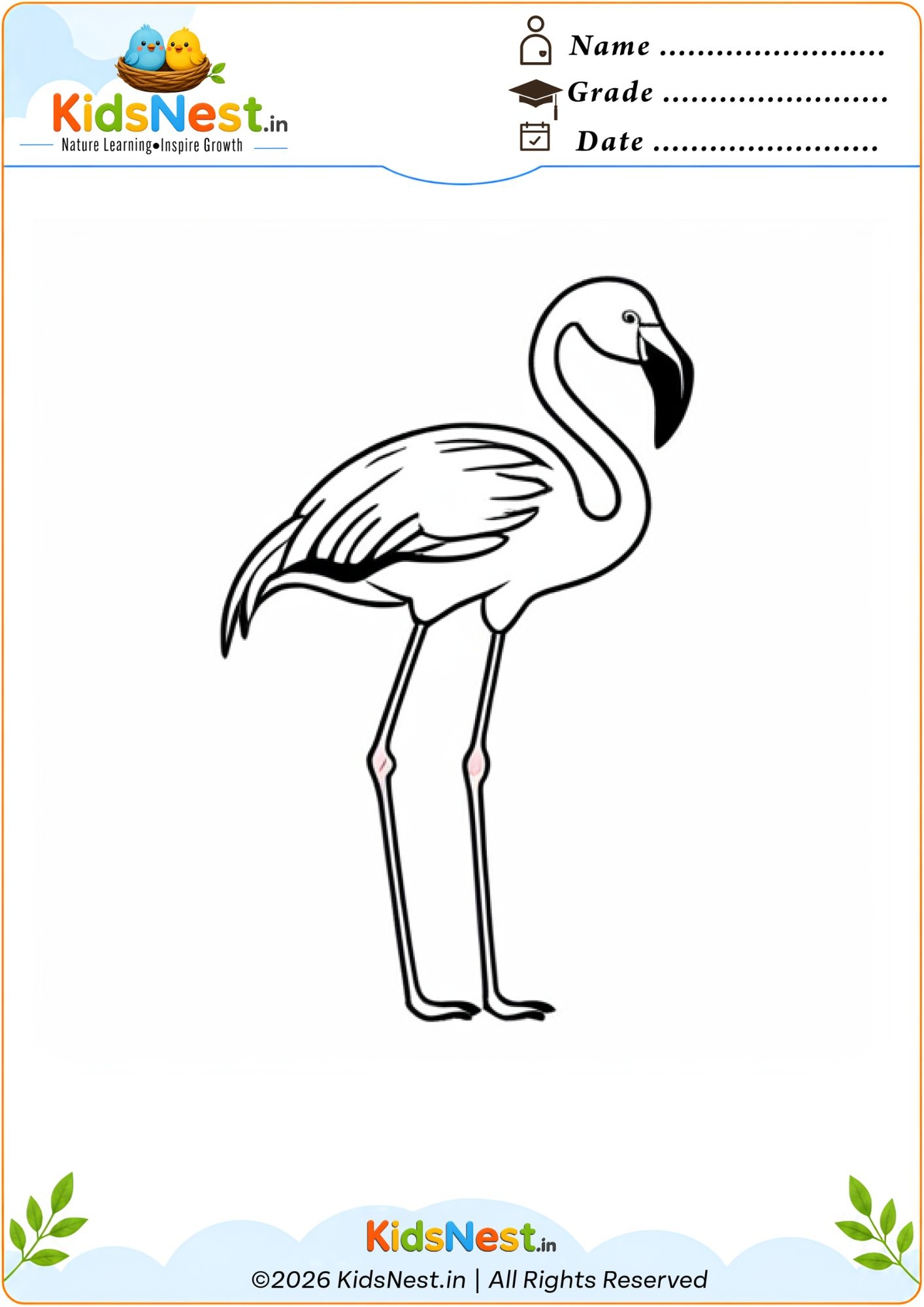 Free Flamingo Coloring Worksheet for Kids | Printable PDF