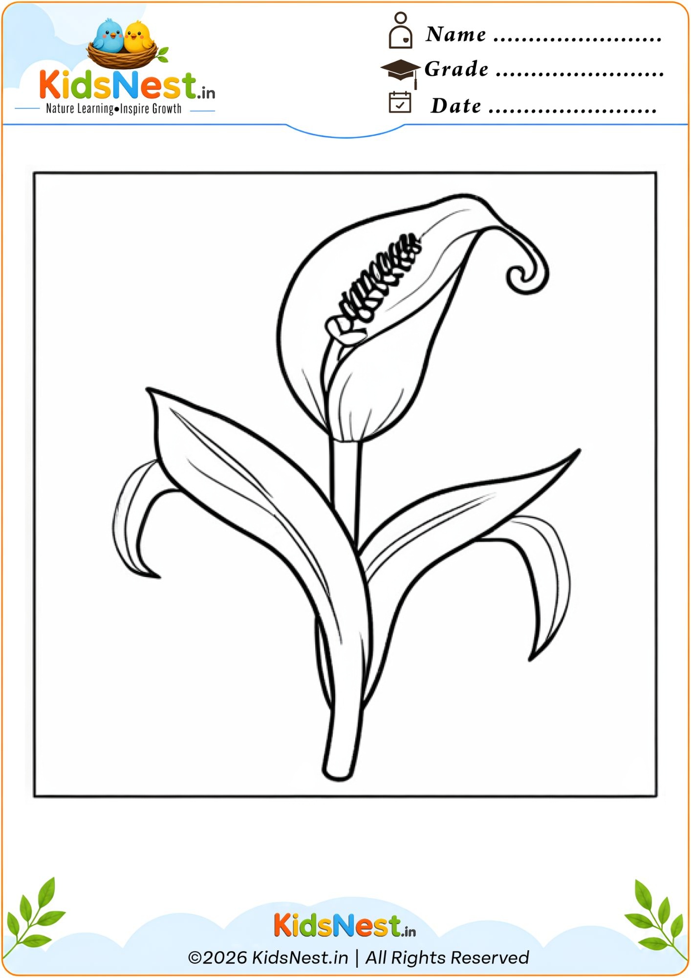 Flower Coloring Worksheet for Kids | Printable PDF