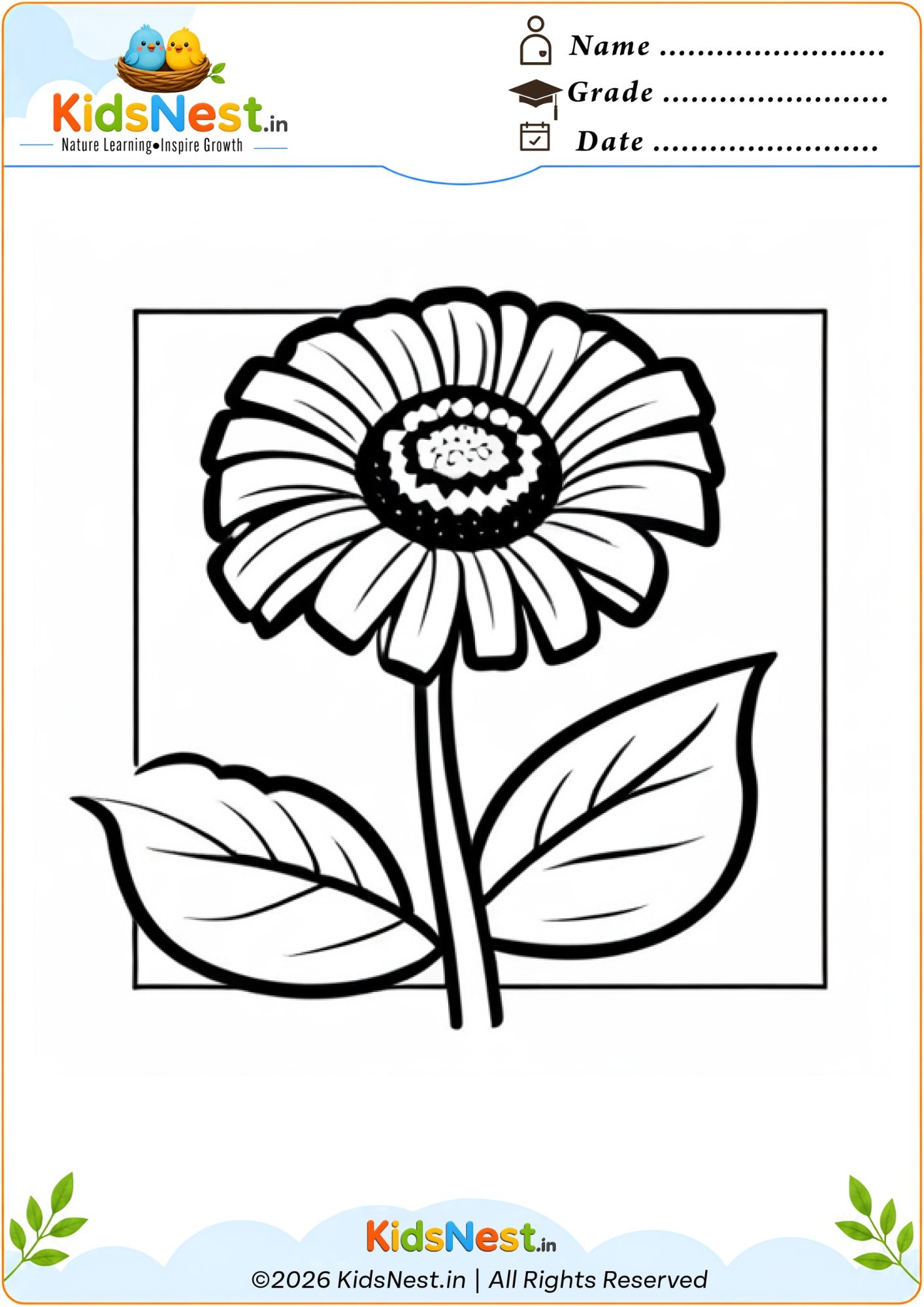 Flower Coloring Worksheet for Kids | Free Printable PDF