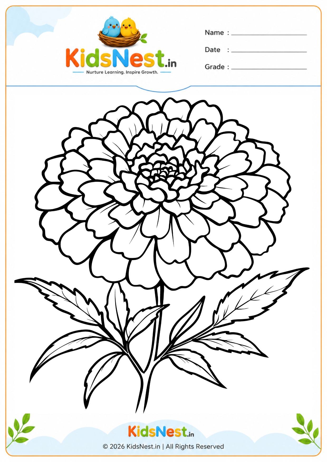 Flower Coloring Worksheet: Beautiful Marigold Bloom for Kids