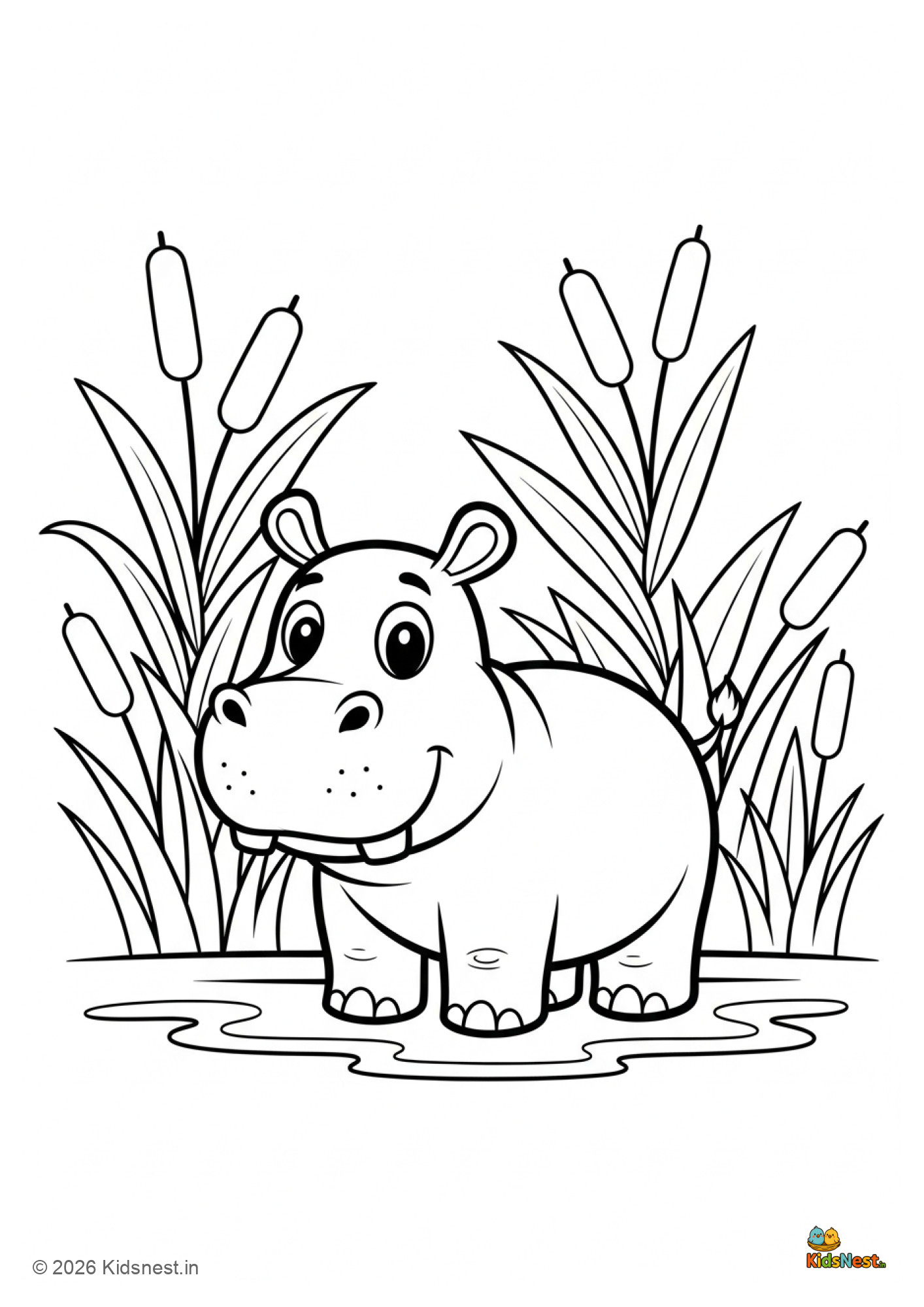 Free Hippopotamus Colouring Page for Kids | Printable PDF