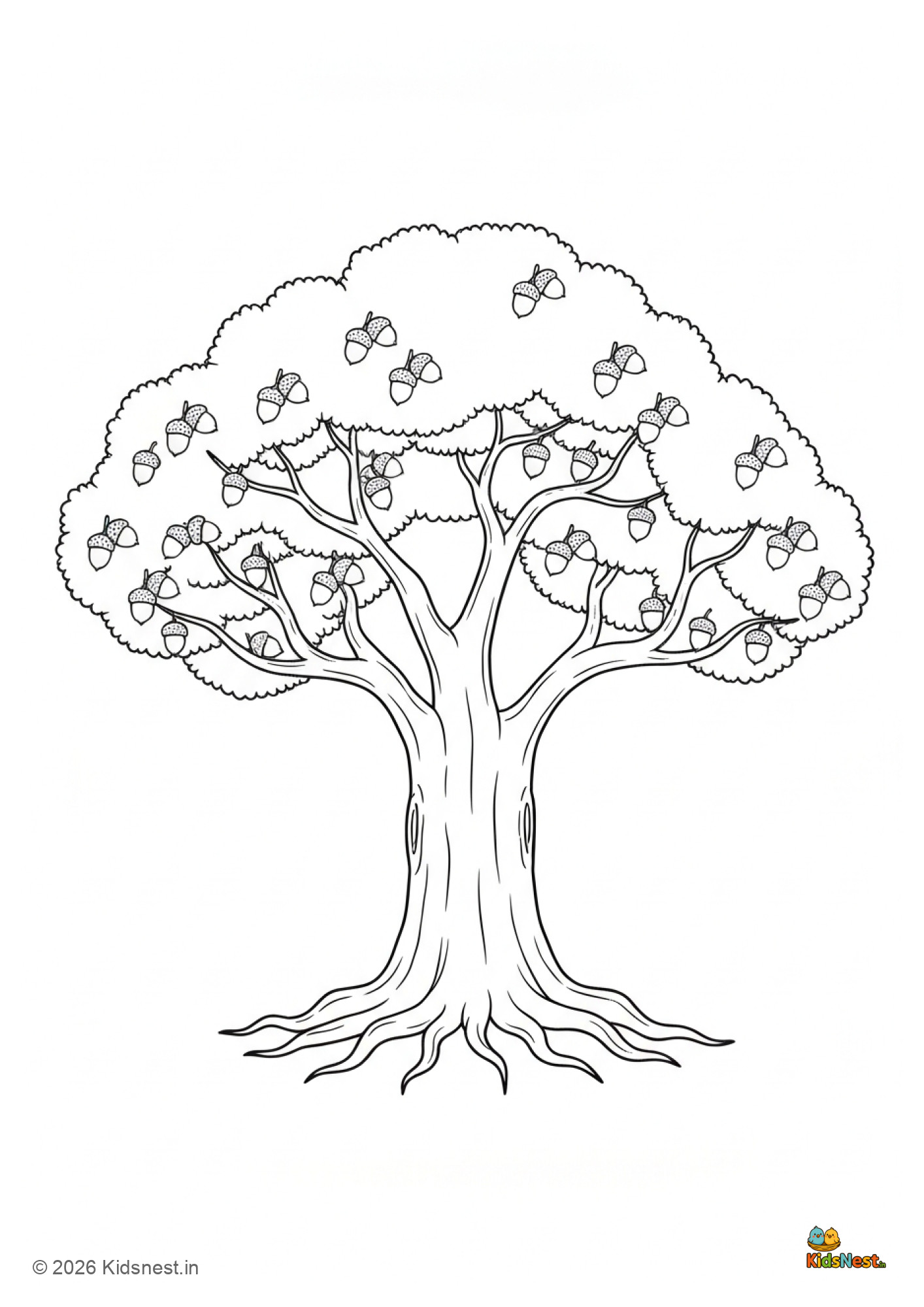 Free Oak Tree Coloring Page for Kids | Printable Worksheet