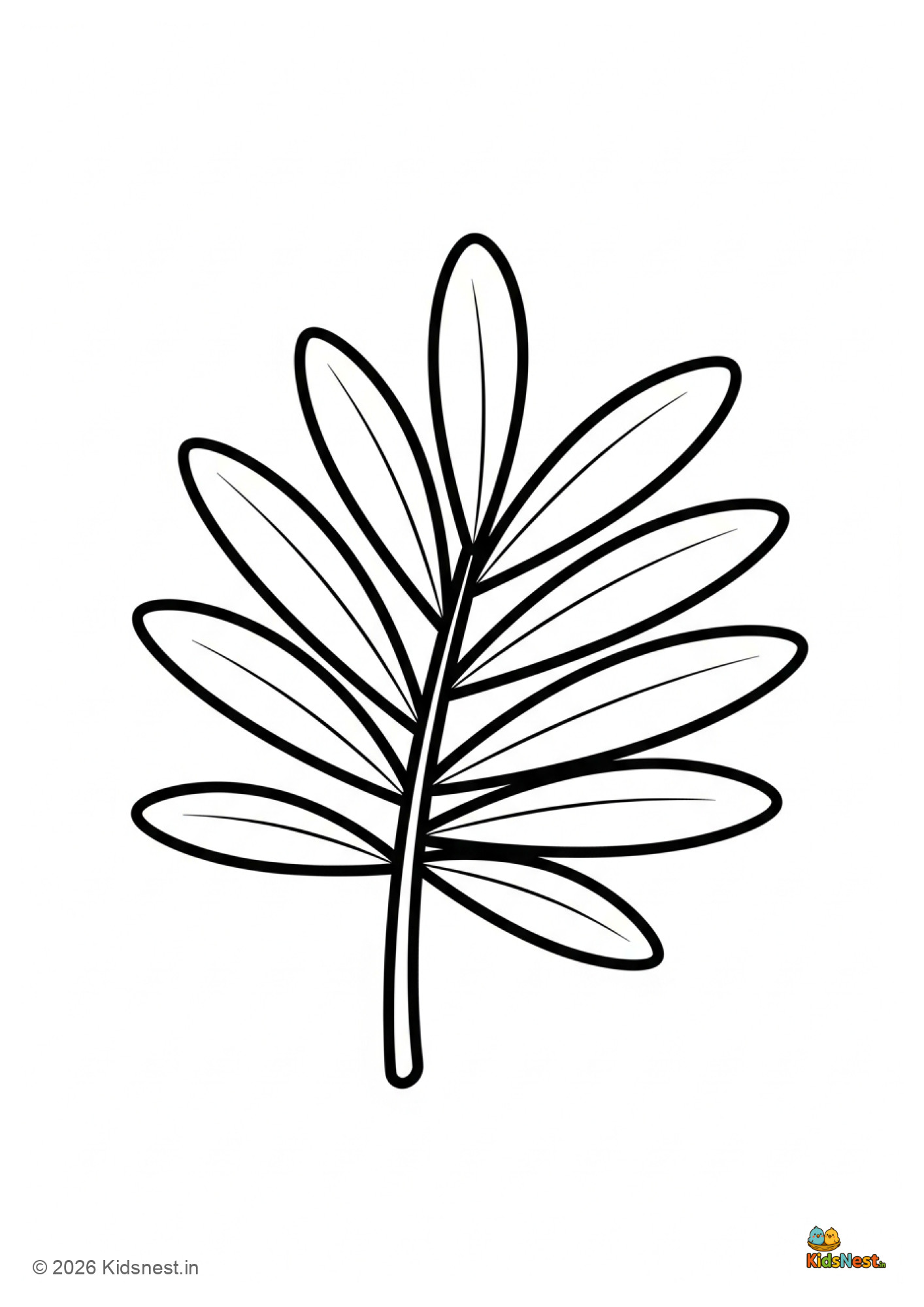 Free Palm Tree Leaf Coloring Sheet for Kids | Printable PDF