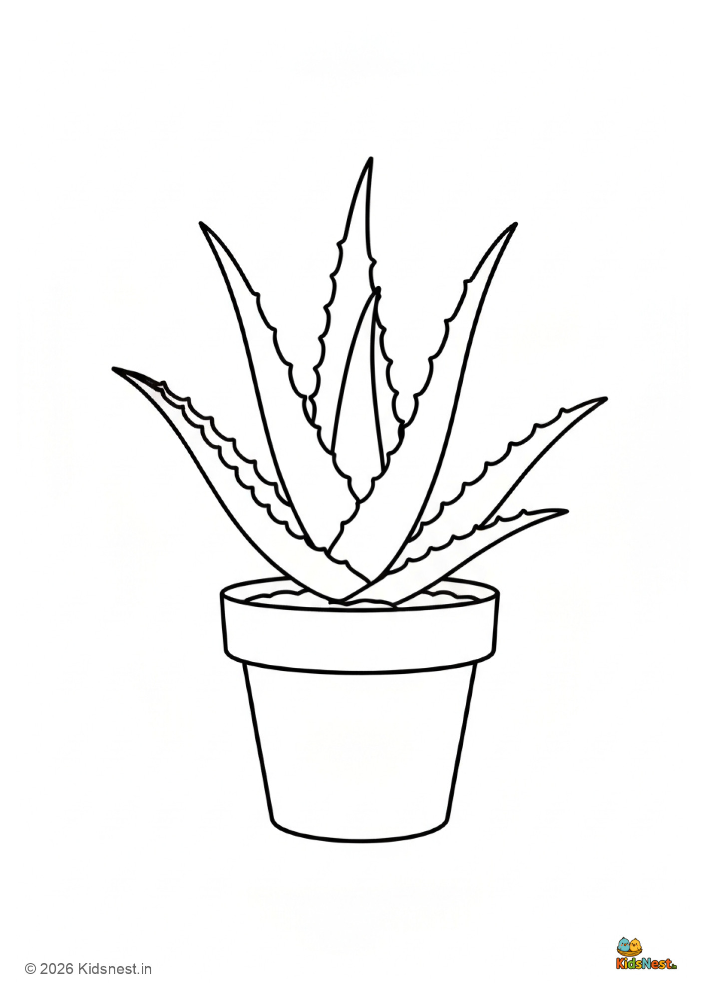 Free Printable Aloe Vera Plant Coloring Page for Kids