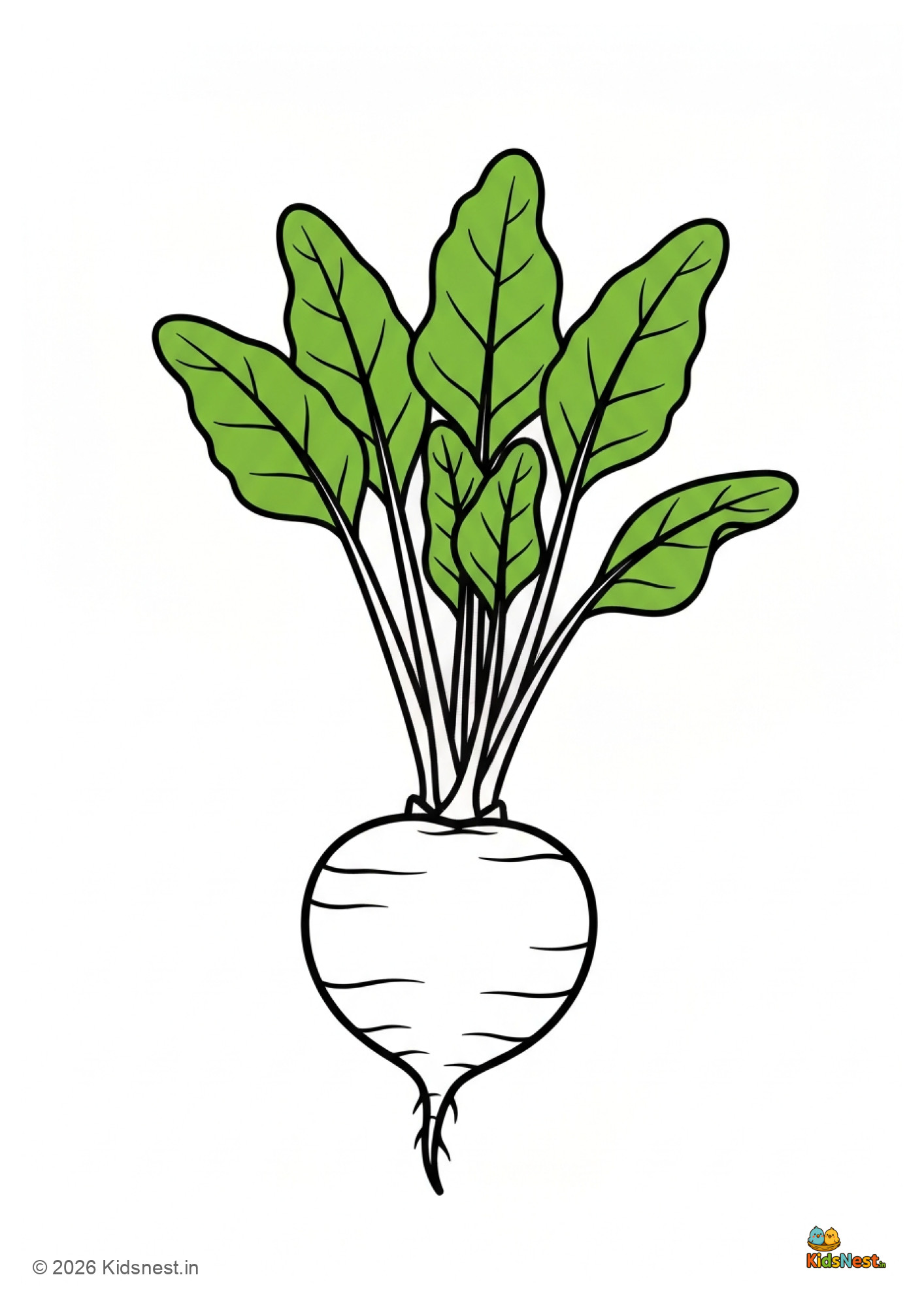 Free Printable Beetroot Colouring Page for Kids