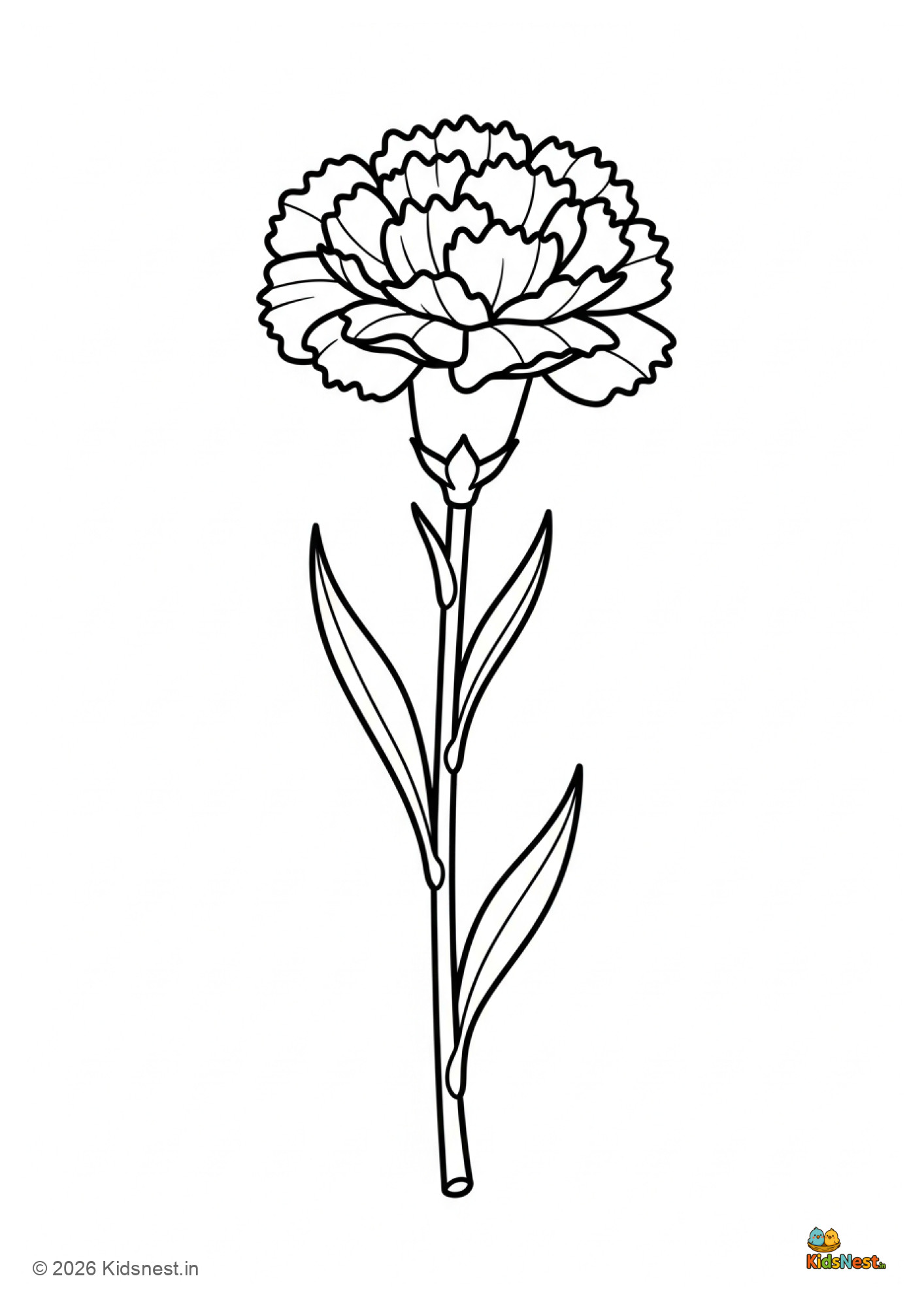 Free Printable Carnation Flower Coloring Page for Kids