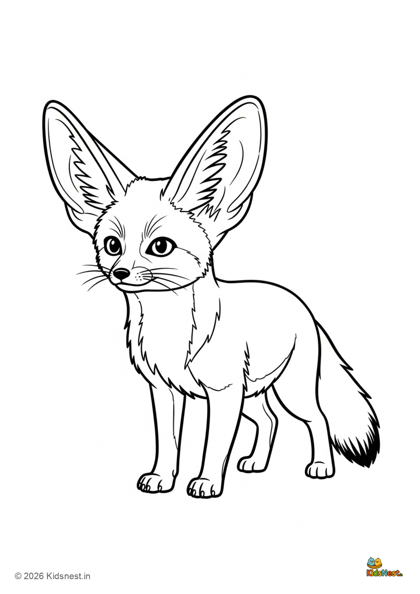 Free Printable Fennec Fox Colouring Page for Kids