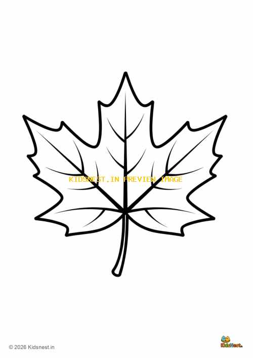 Free Printable Maple Leaf Coloring Page for Kids