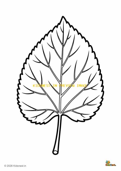 Free Printable Mulberry Leaf Coloring Page for Kids