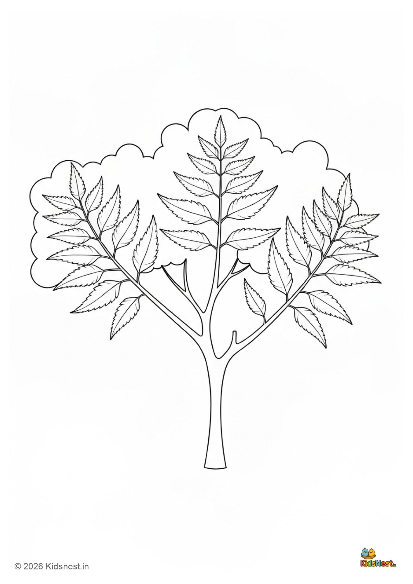 Free Printable Neem Tree Coloring Page for Kids | Educational