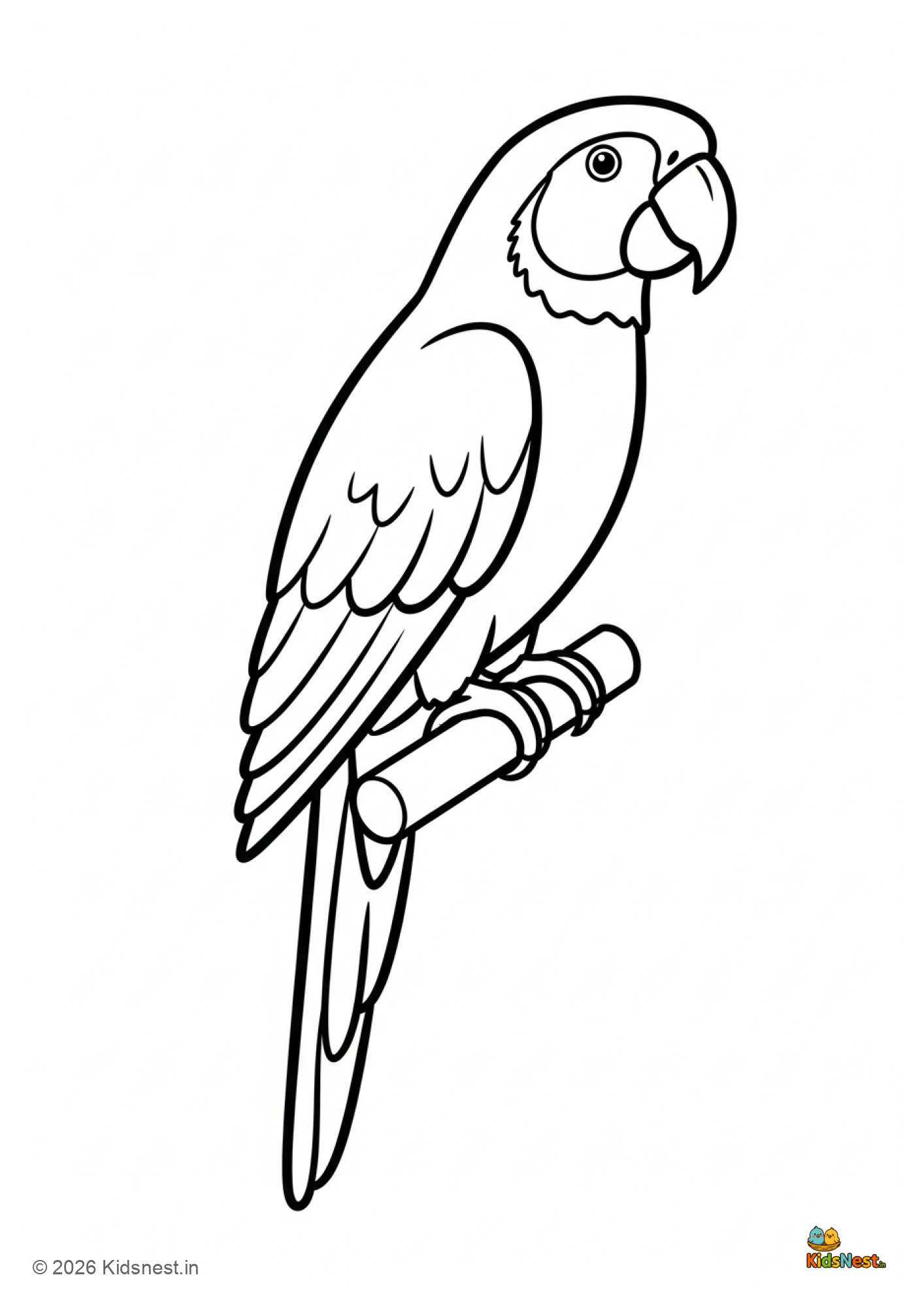 Free Printable Parrot Colouring Page for Kids | Educational Fun