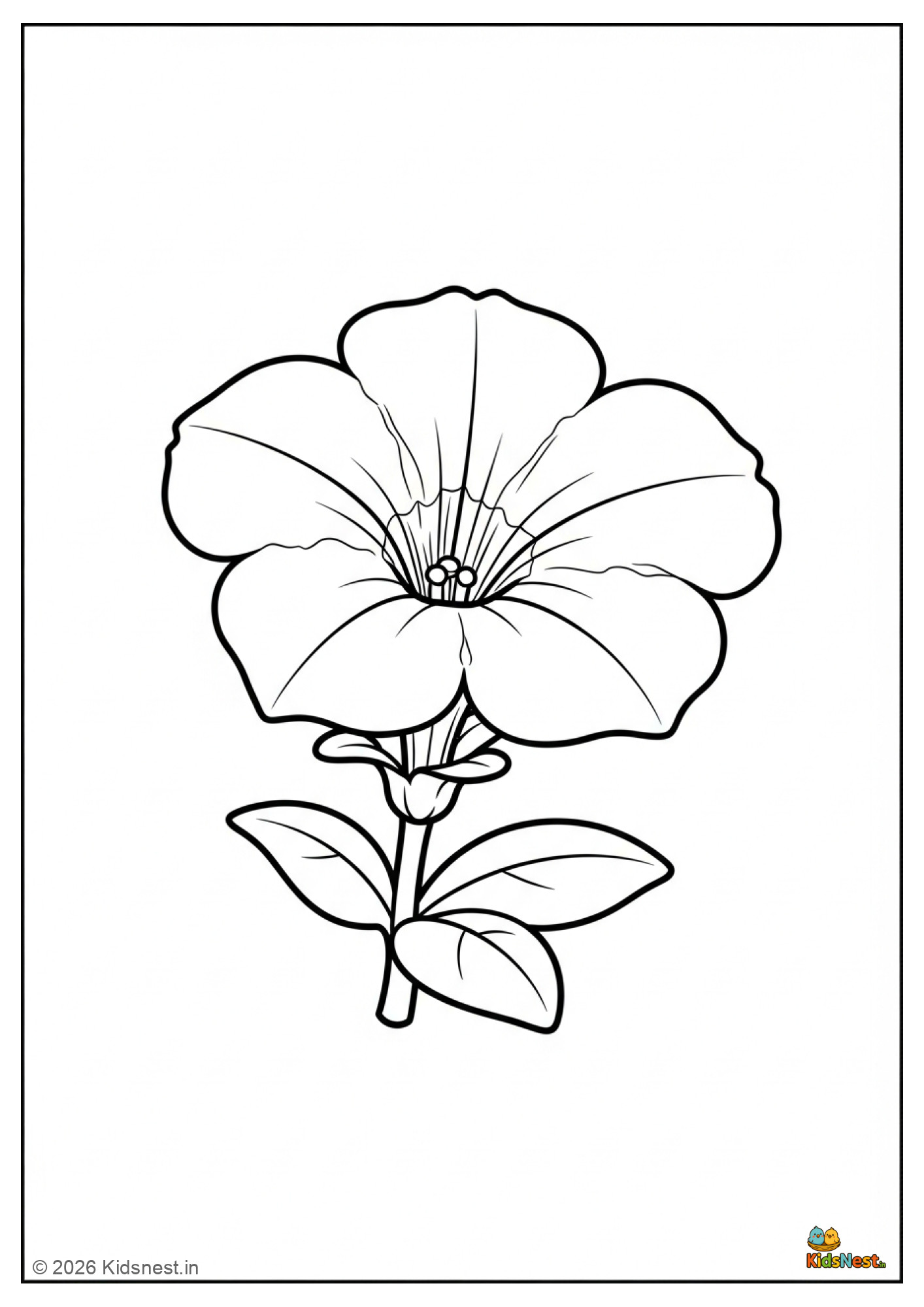 Free Printable Petunia Flower Coloring Page for Kids