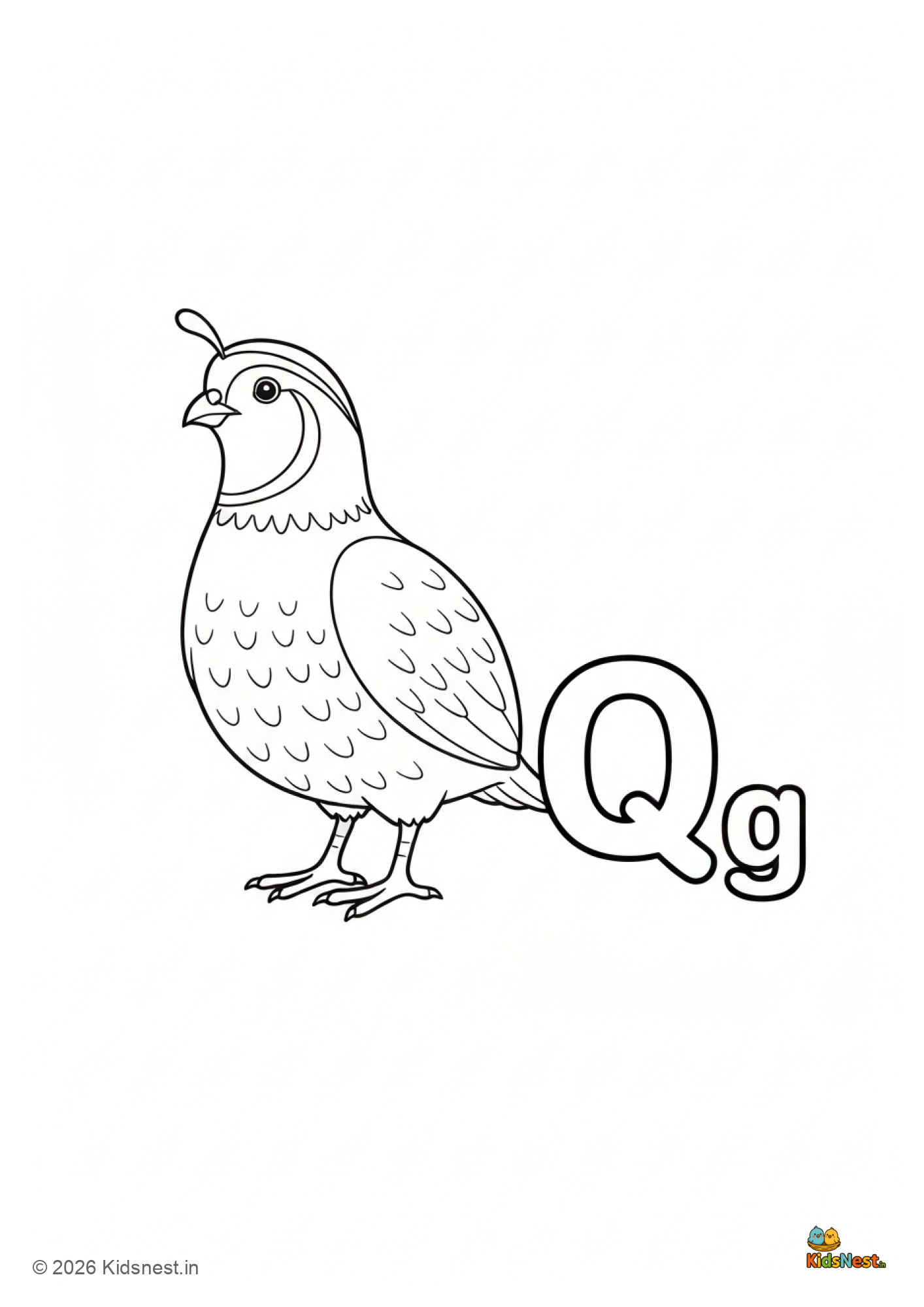 Free Printable Q for Quail Coloring Page for Kids