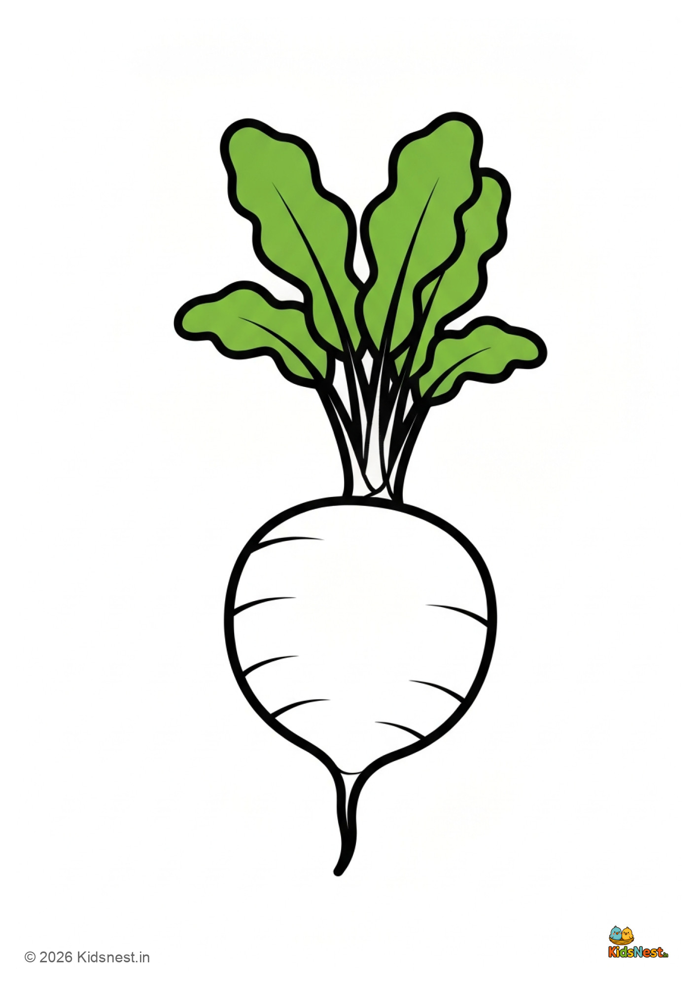 Free Radish Coloring Page for Kids | Printable Worksheet