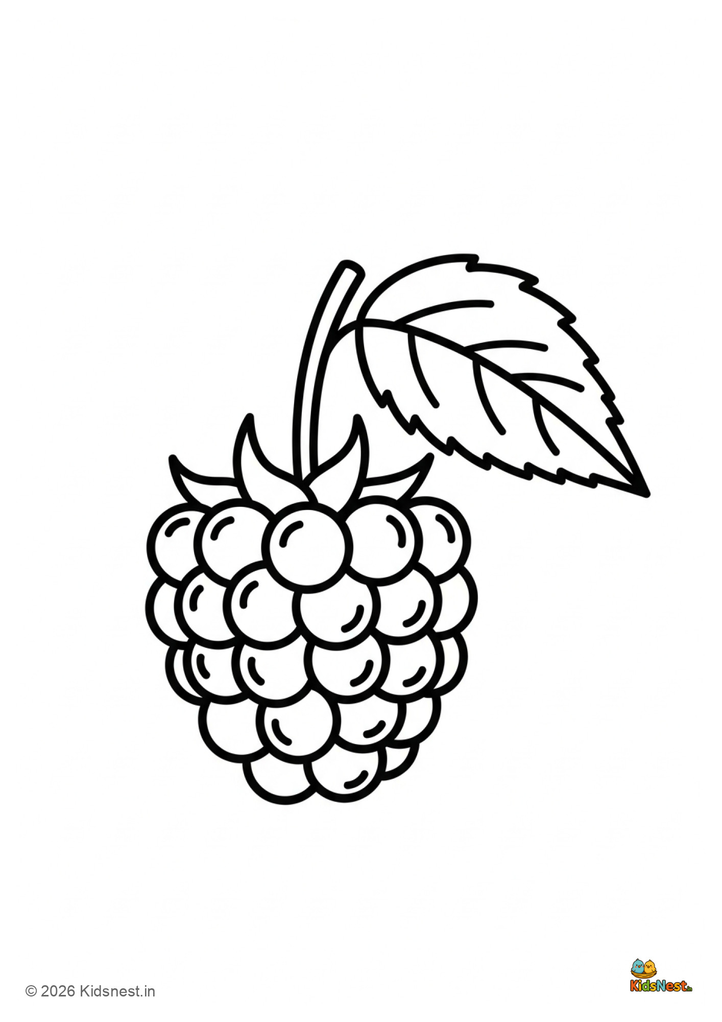 Free Raspberry Coloring Page for Kids | Printable Worksheet