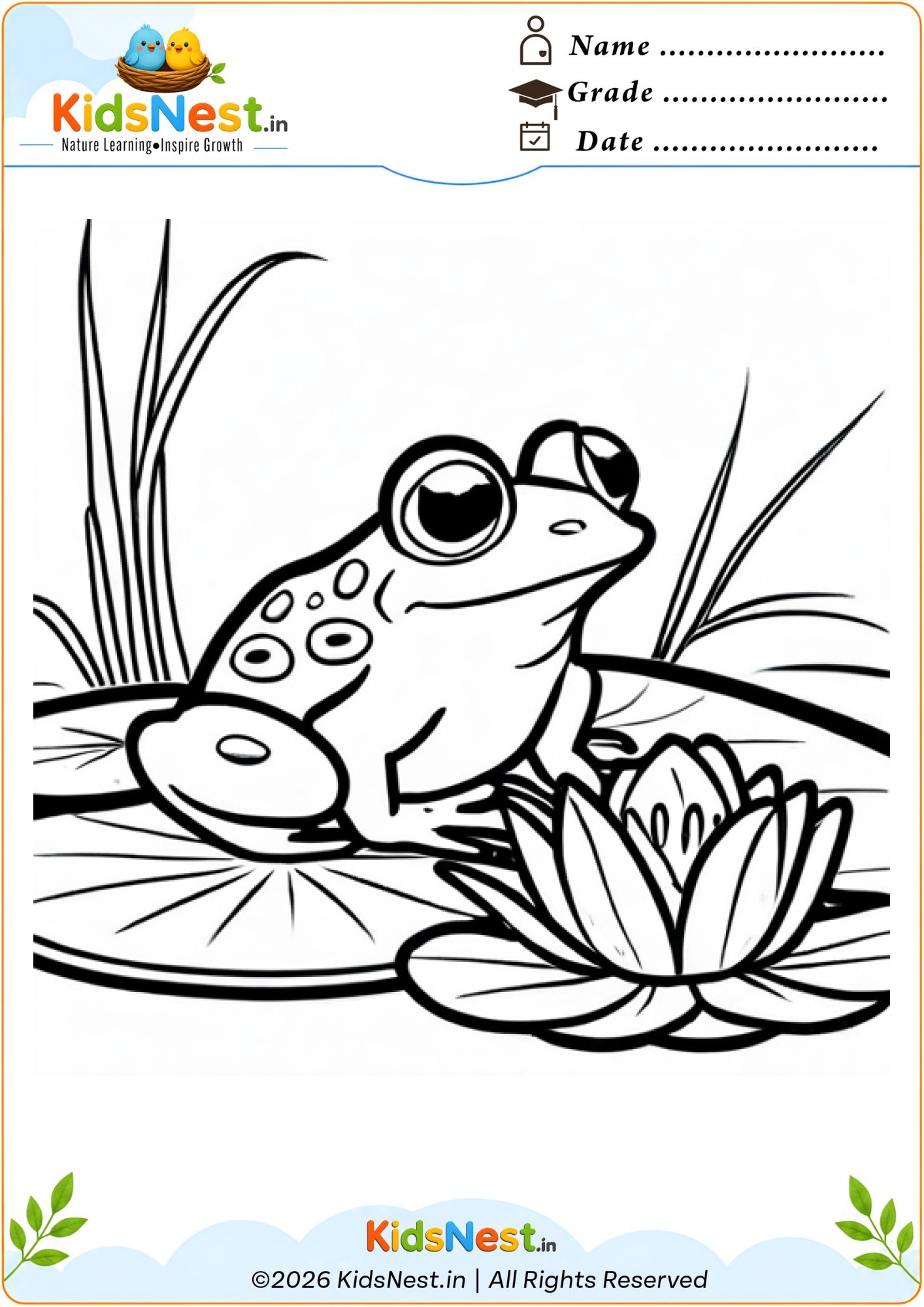 Printable Frog on Lily Pad Coloring Worksheet for Kids