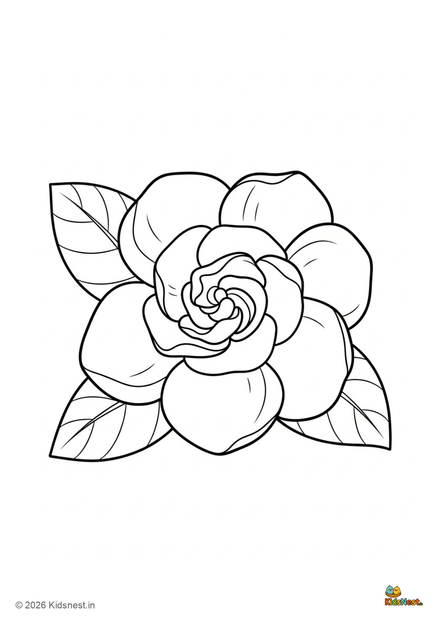 Gardenia Flower Coloring Page for Kids | Free Printable PDF