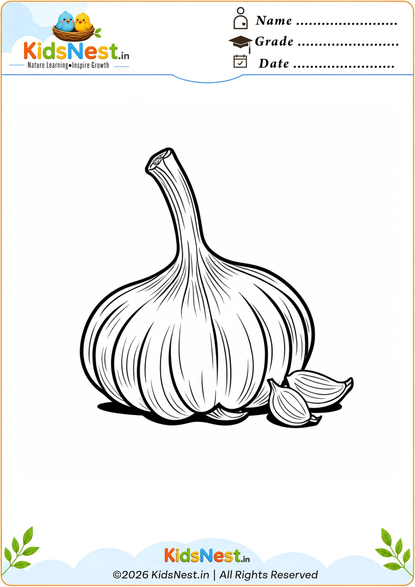 Garlic Bulb Coloring Page for Kids | Free Printable PDF