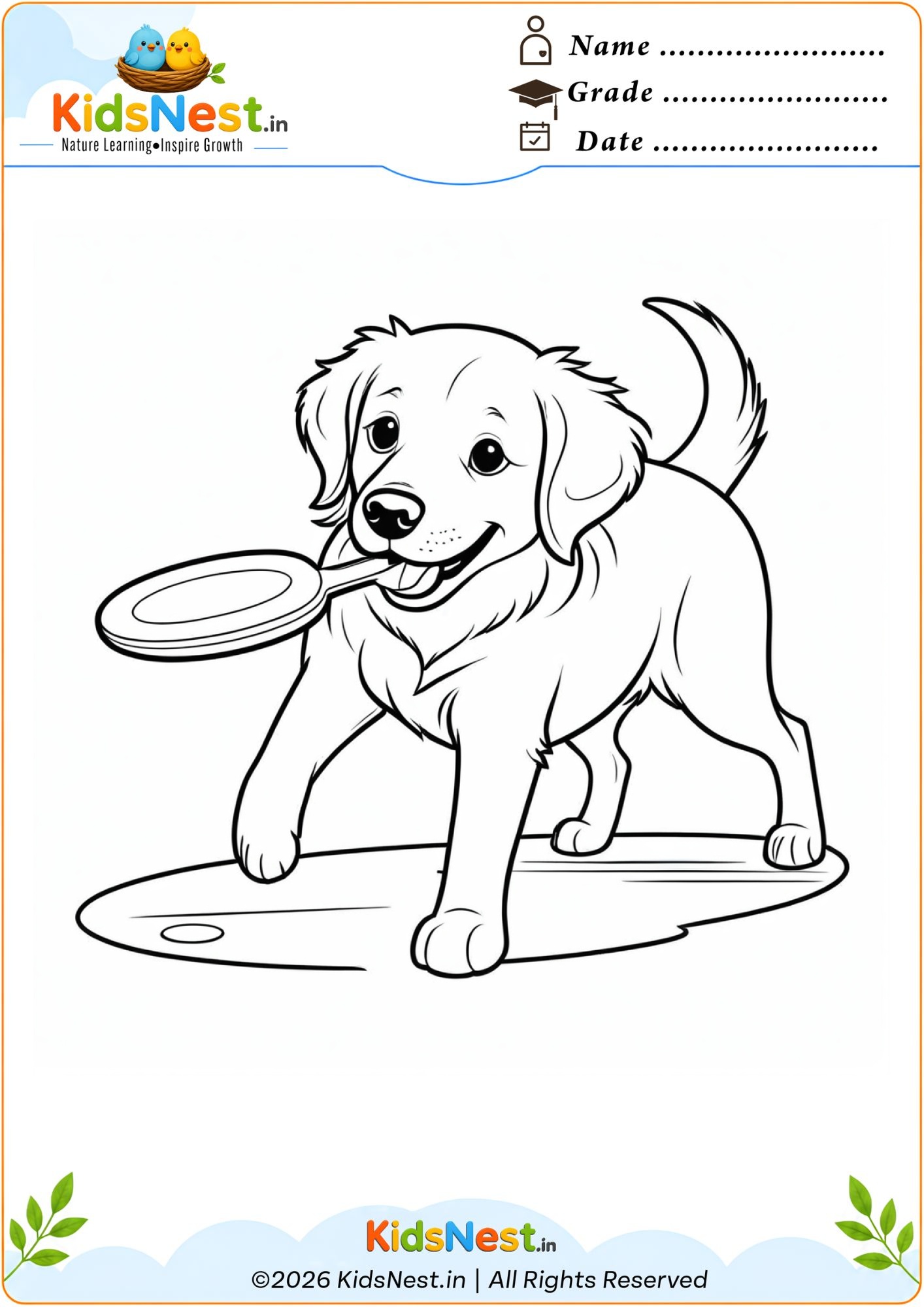 Golden Retriever Puppy With Frisbee Coloring Page for Kids