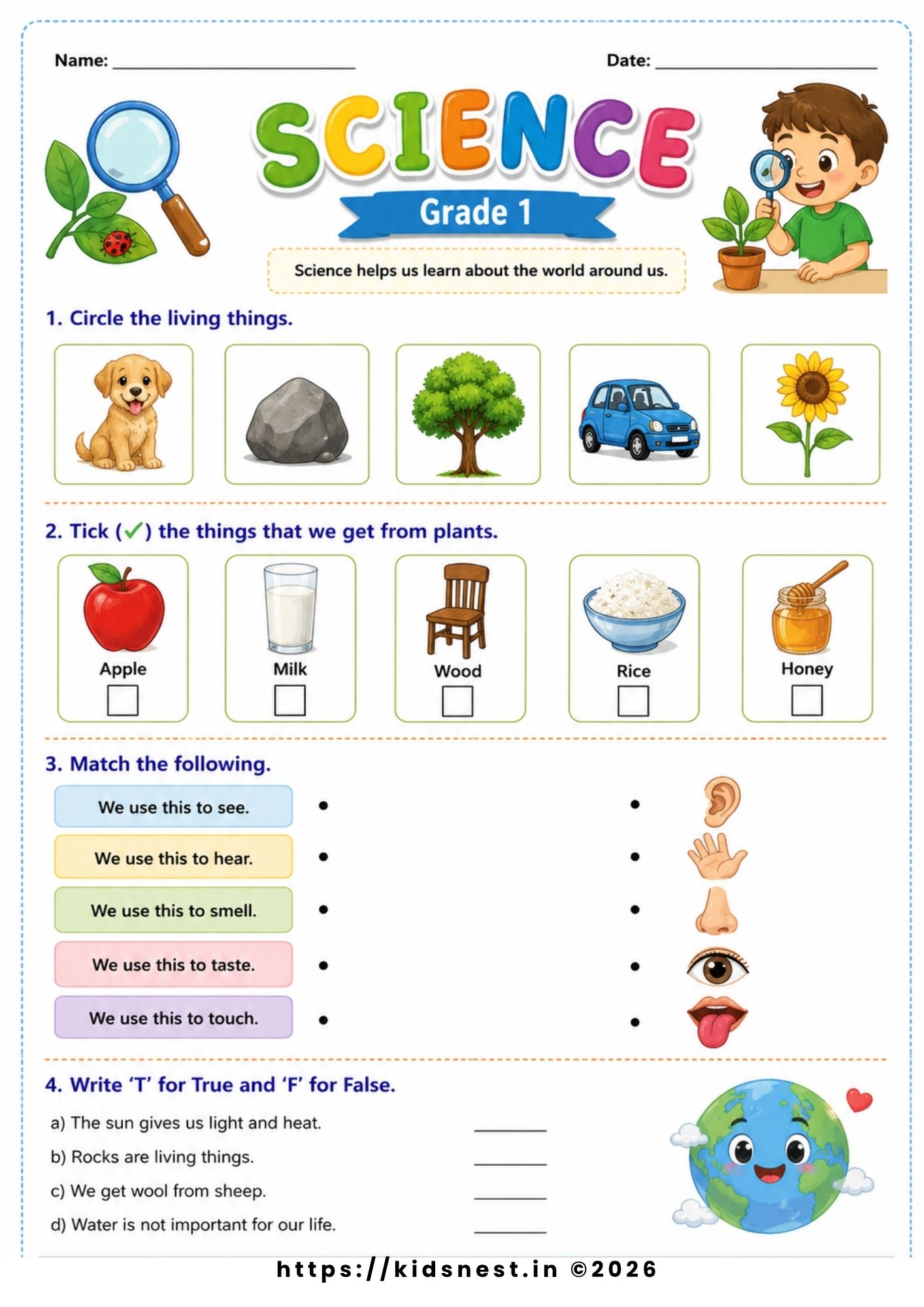 Grade 1 Science Worksheet: Living & Non-Living + 5 Senses