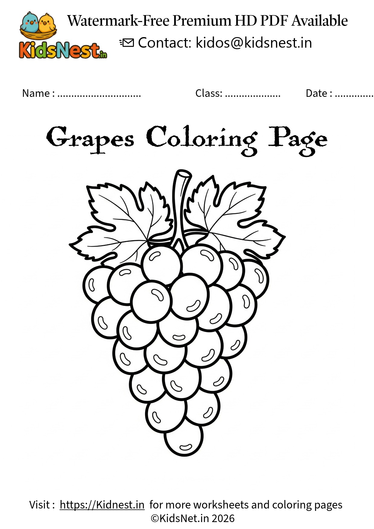 Printable Grapes Coloring Page for Kids & Teachers