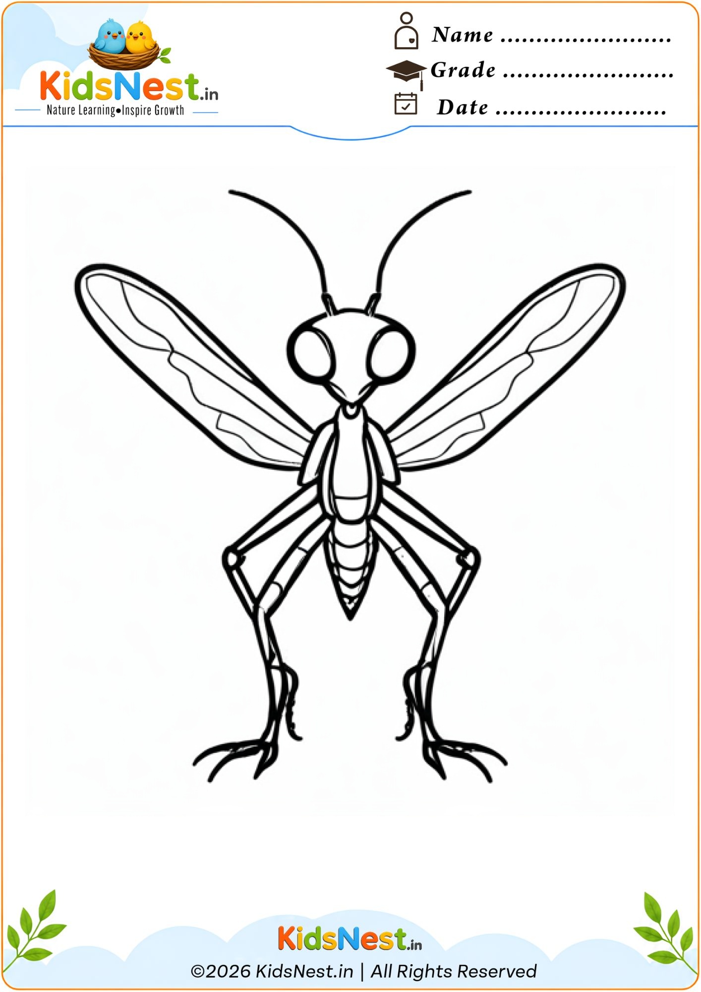 Grasshopper Coloring Page