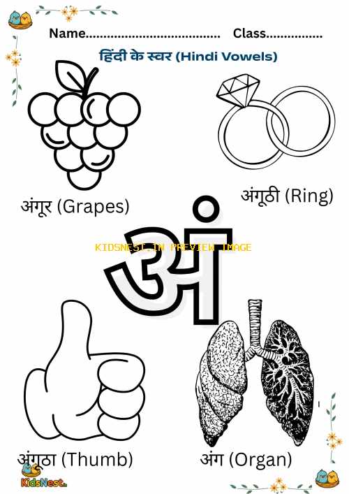 Learn Hindi Vowel अं | Printable Worksheet for Kids