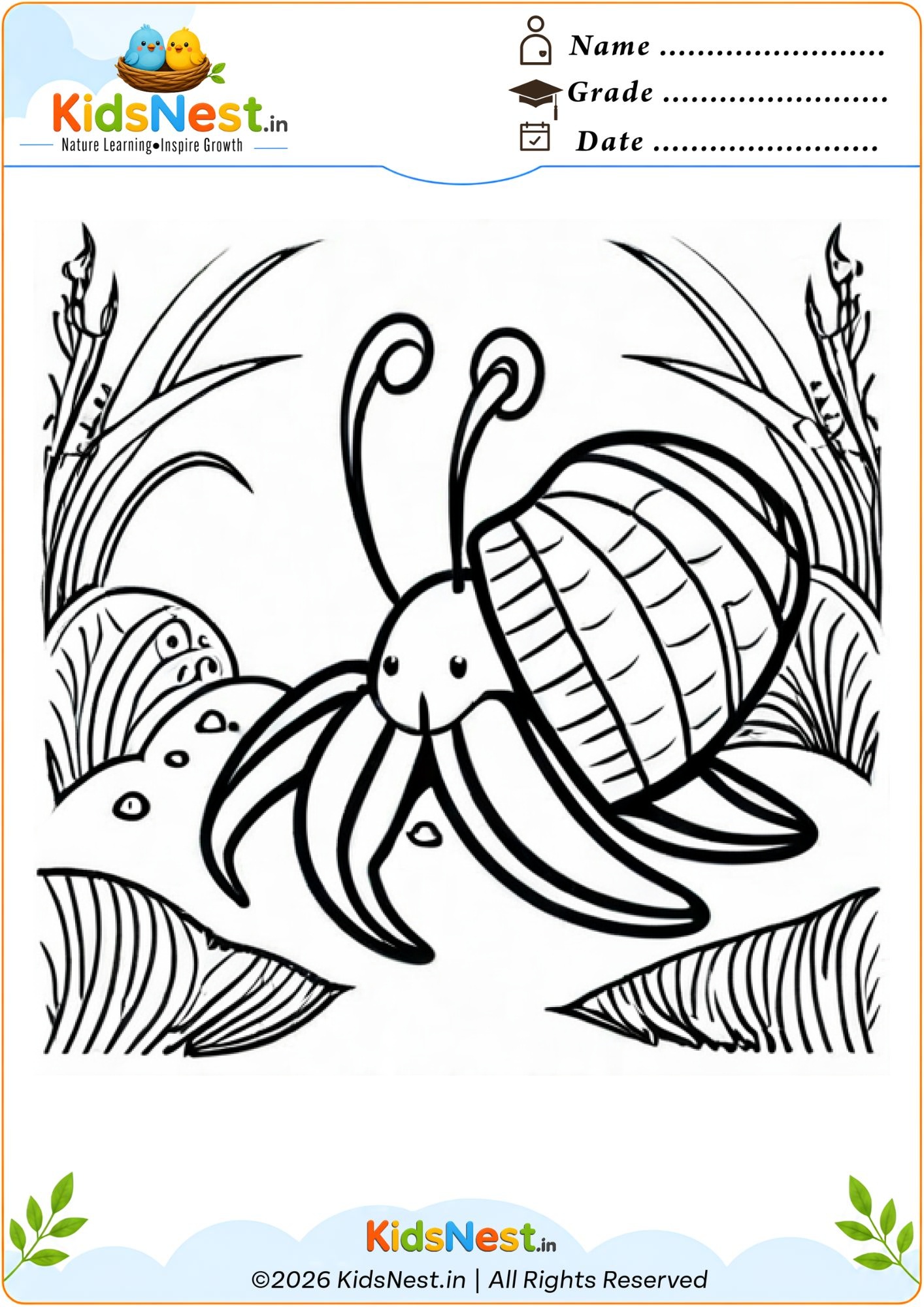 Hermit Crab Coloring Worksheet for Kids | Free Printable