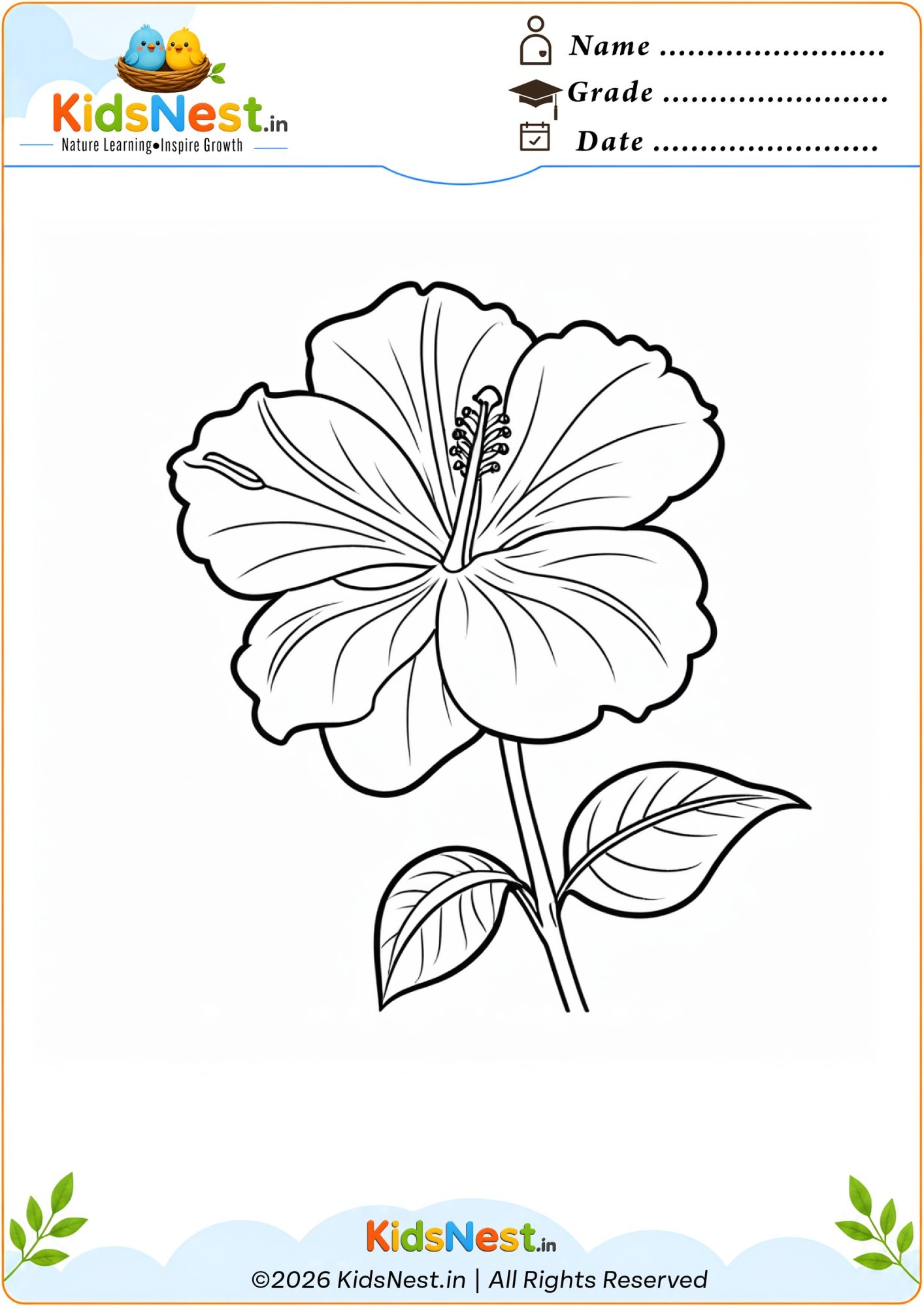 Hibiscus Flower Coloring Page for Kids | Free Printable