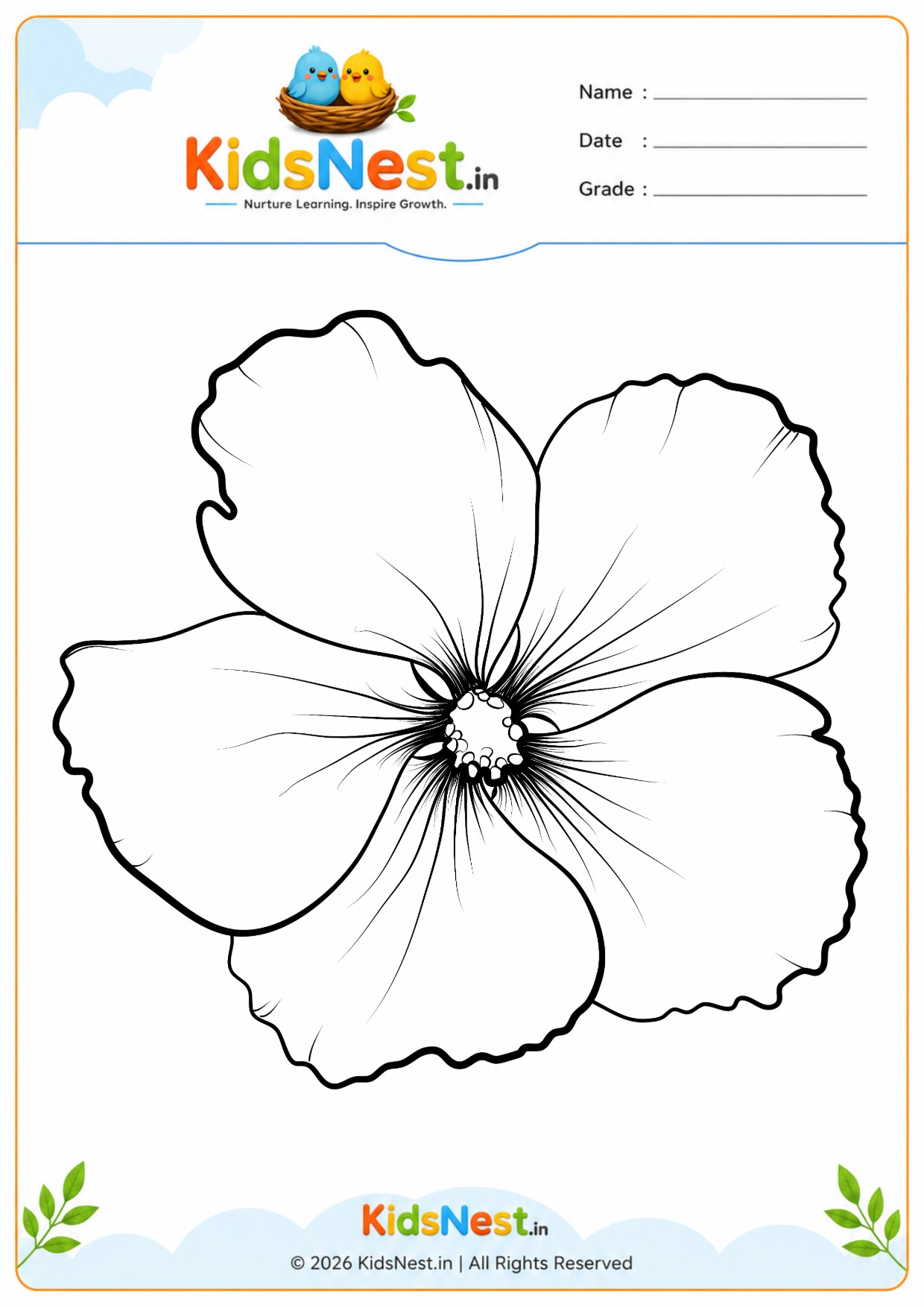 Hibiscus Flower Coloring Worksheet for Kids | Free Printable