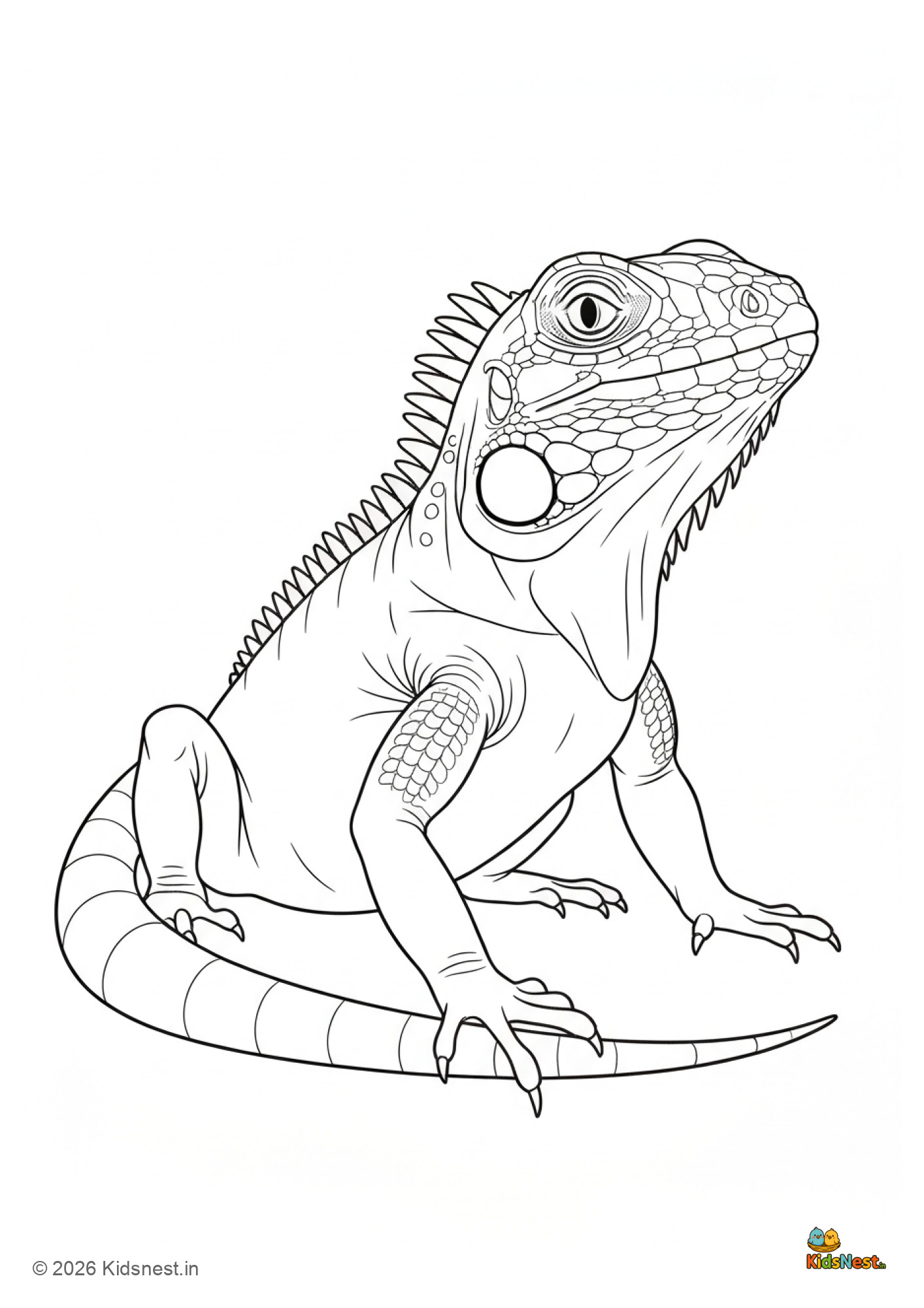I for Iguana Colouring Page | Free Printable for Kids