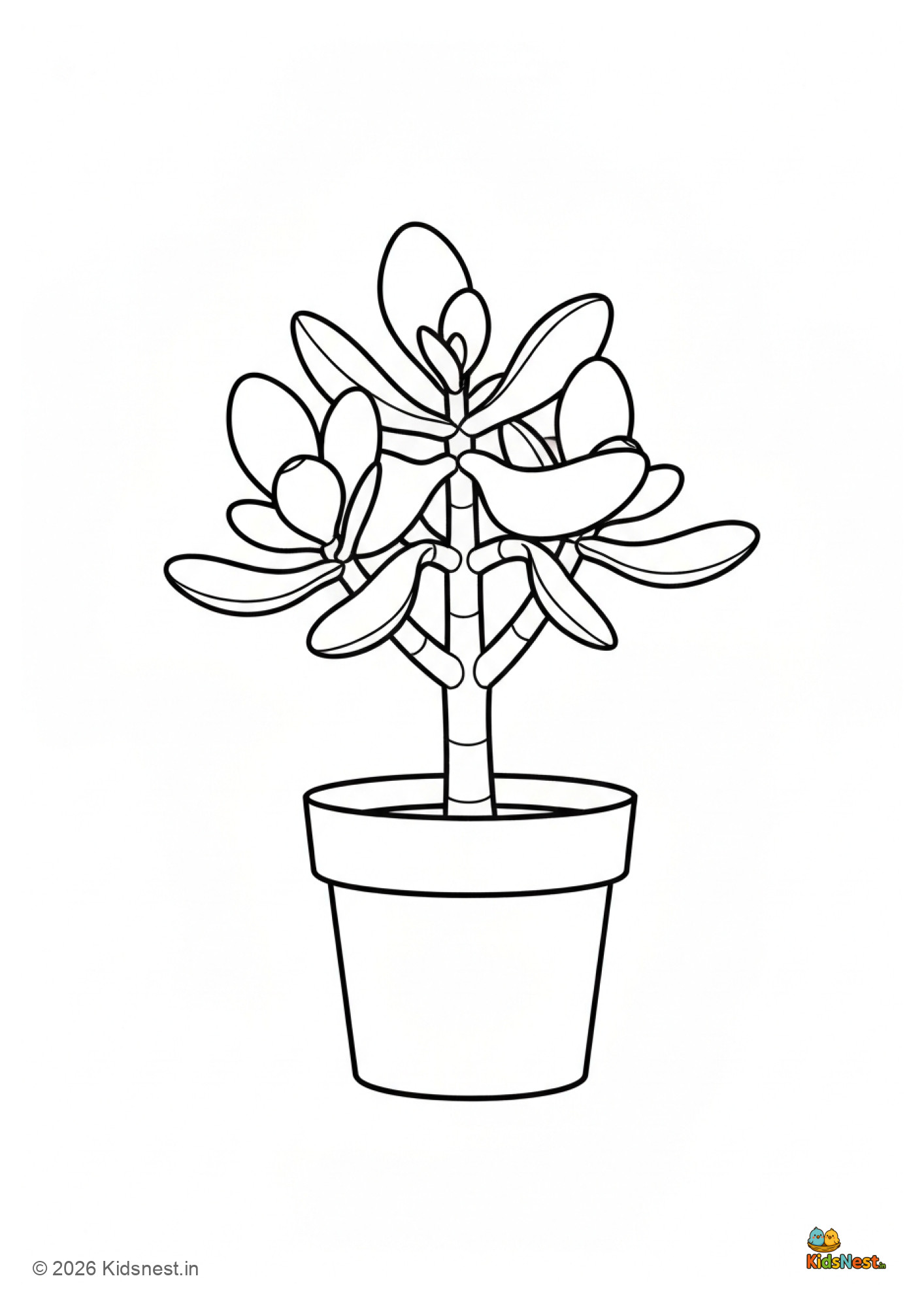 Jade Plant Coloring Page for Kids | Free Printable Worksheet