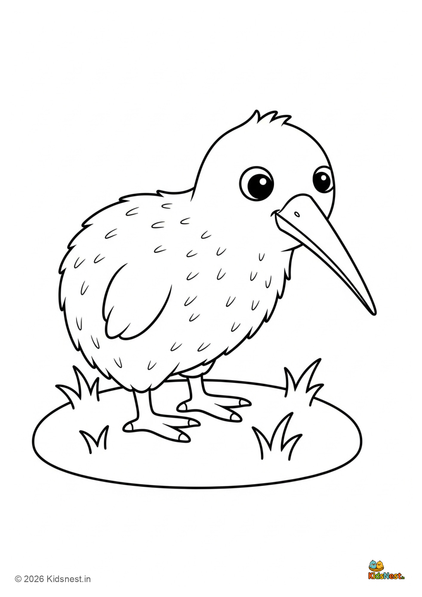 Kiwi Colouring Page for Kids | Free Printable Worksheet
