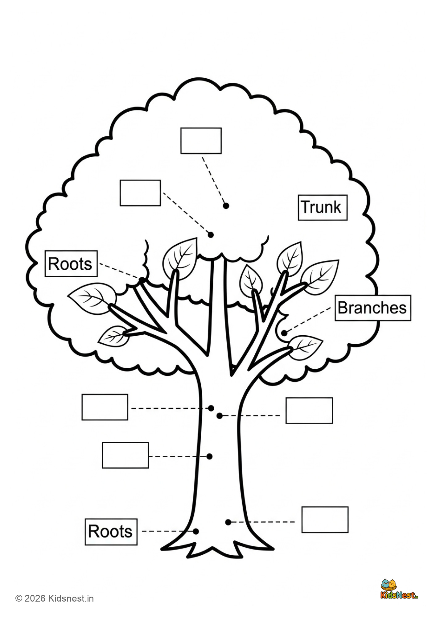 Label the Parts of a Tree Worksheet for Kids | Printable
