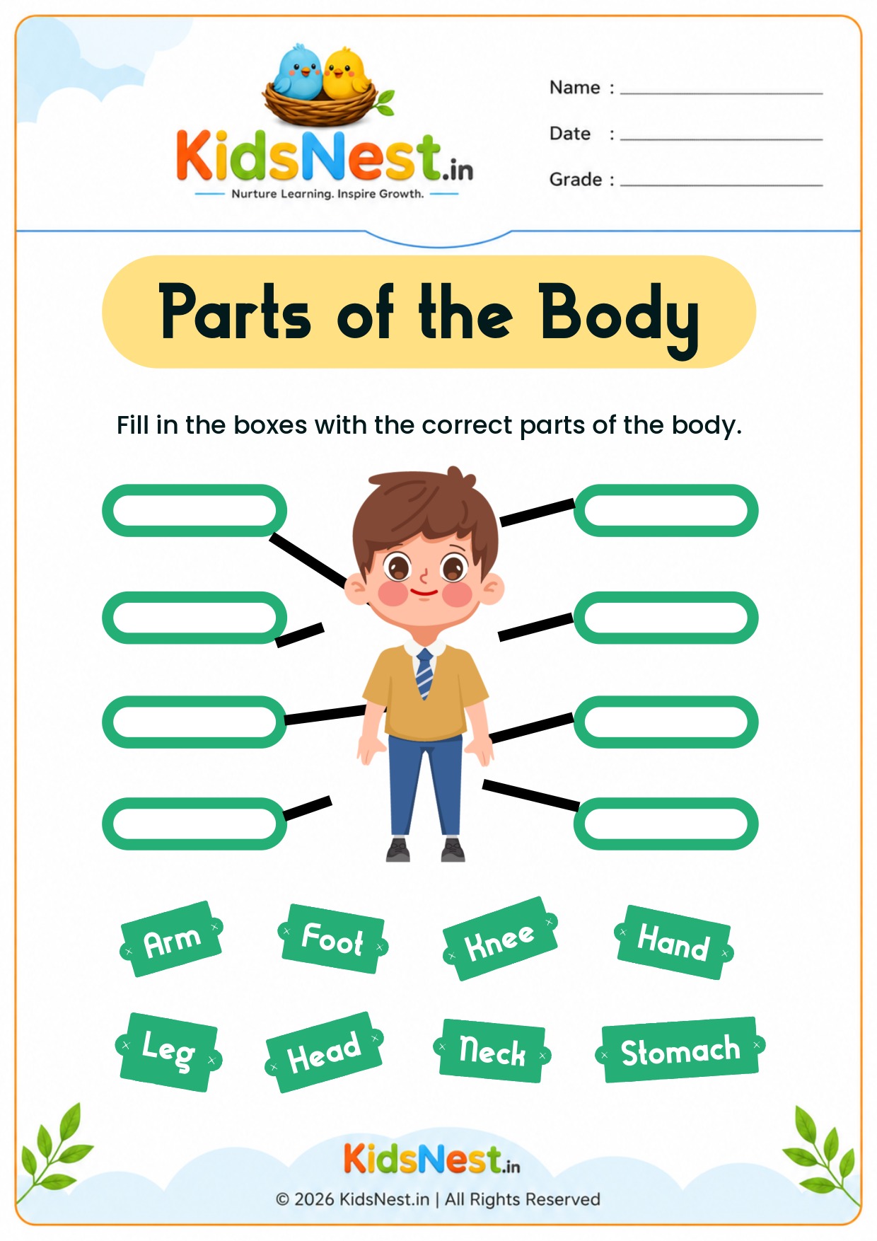 Labeling Parts of the Body Activity for Kids | Free Printable