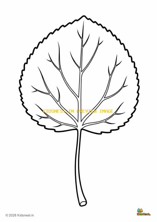 Large Aspen Leaf Coloring Sheet for Kids | Free Printable
