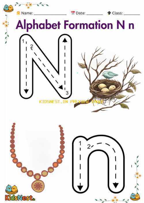Printable Letter N Formation Worksheet for Kids