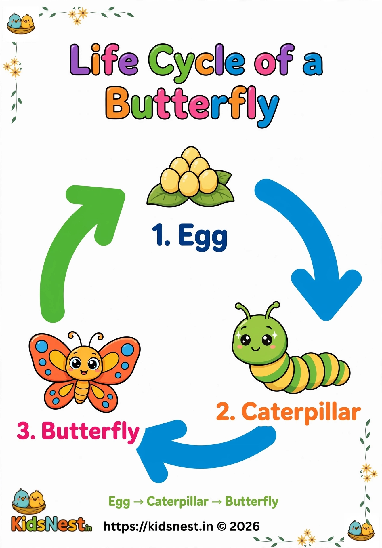 Life Cycle of a Butterfly Coloring Page | Free Printable