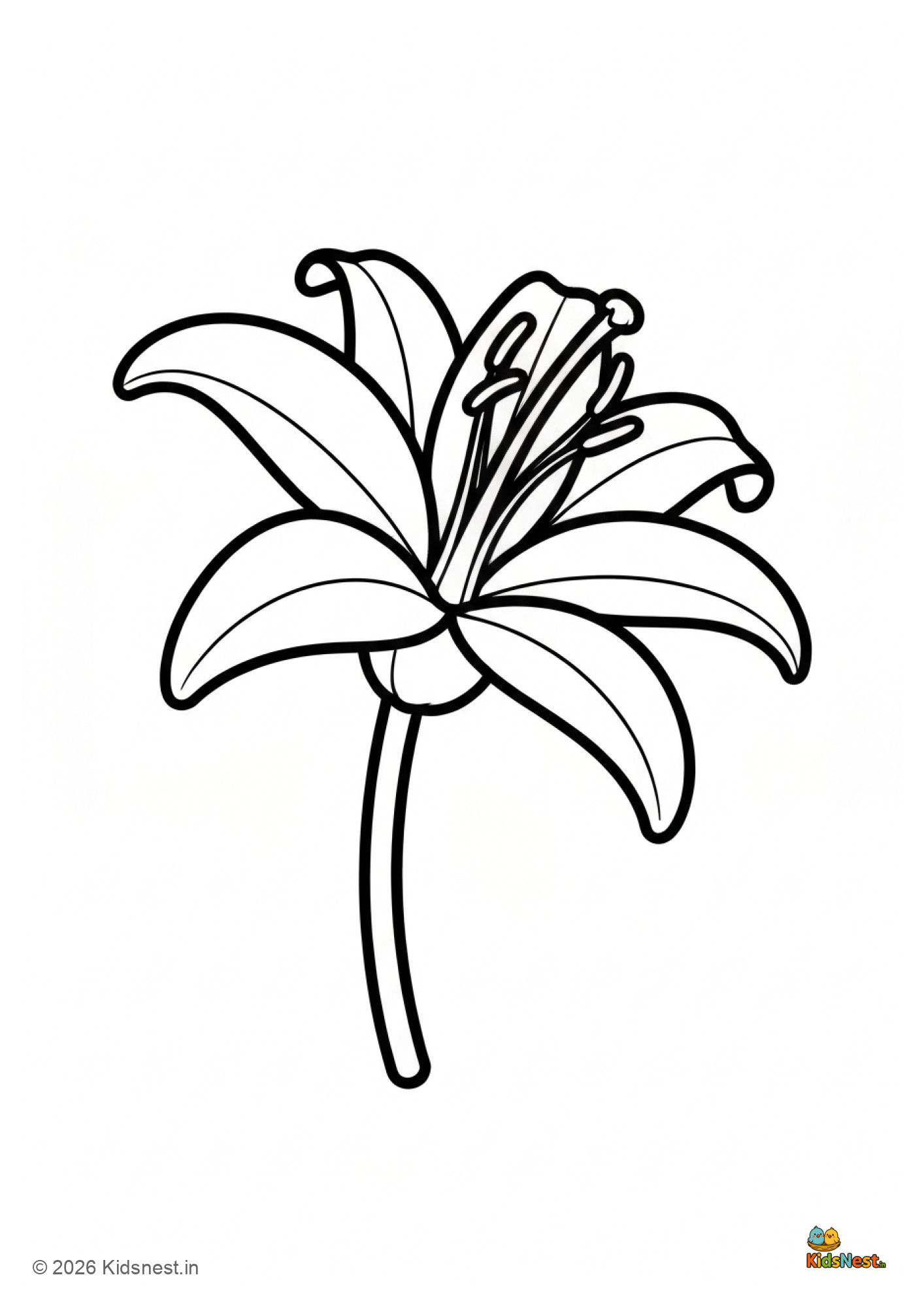 Lily Flower Coloring Page for Kids | Free Printable PDF