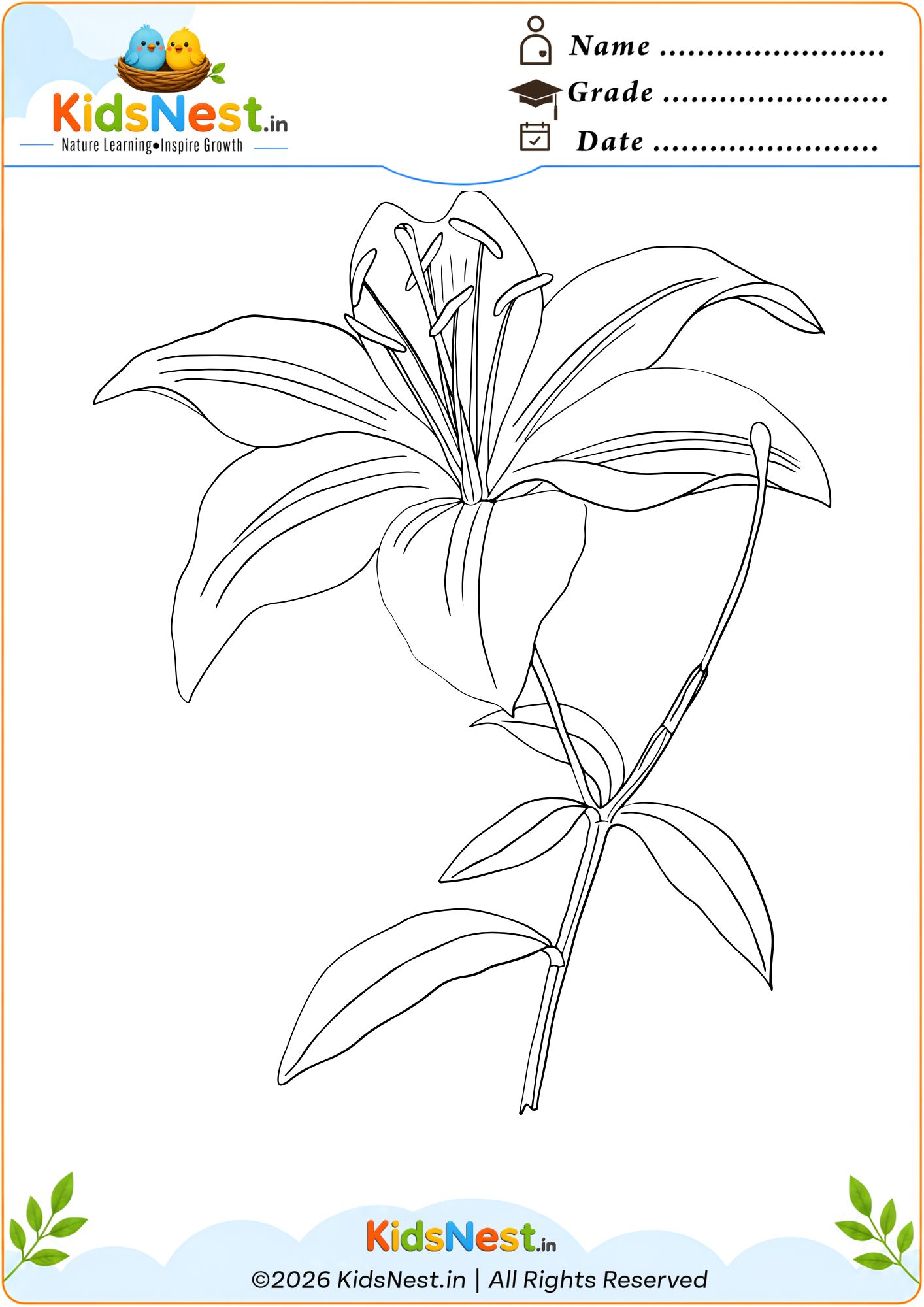 Lily Flower Coloring Worksheet for Kids | Free Printable