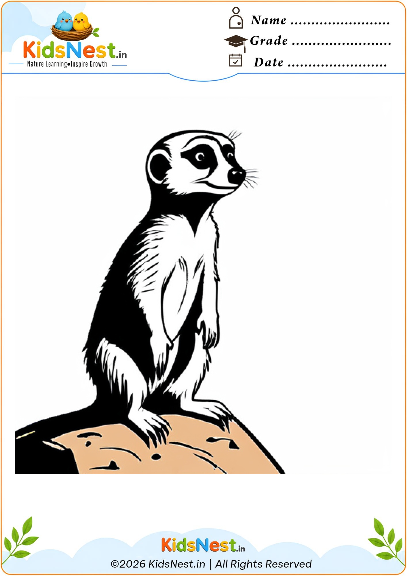 Free Meerkat Coloring Worksheet for Kids | Printable PDF