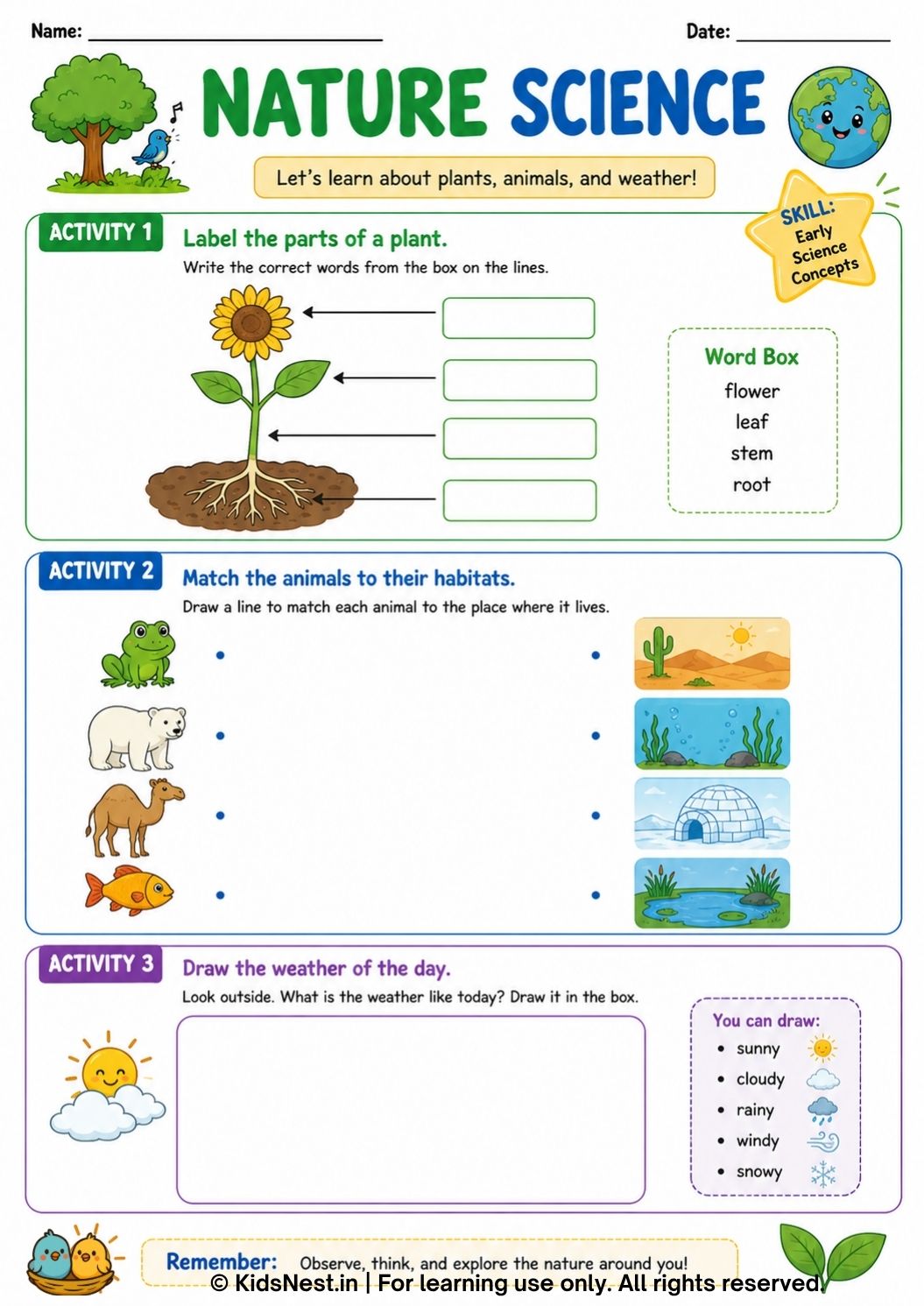 Nature Science Worksheet for Kids | Free Printable Activity